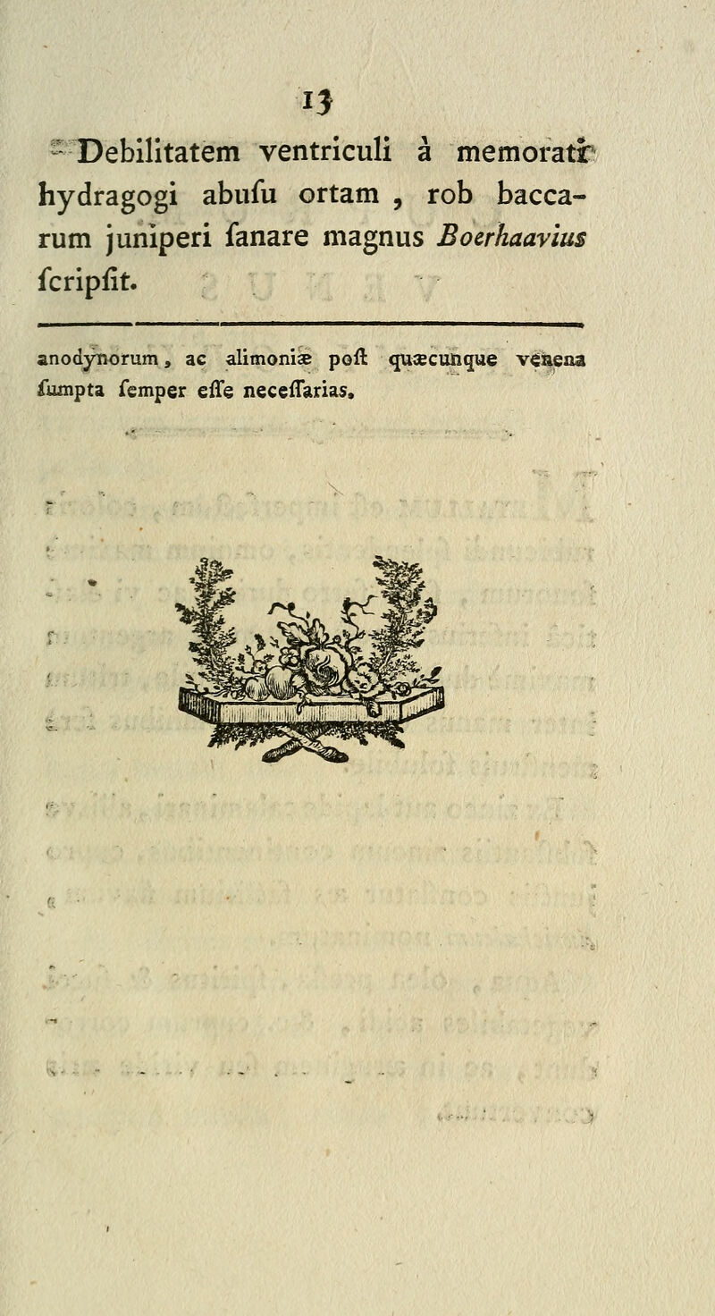 ^ Debilltatem ventriculi a memoratr hydragogi abufu ortam , rob bacca- rum juniperi fanare magnus Bocrhaavius fcripfit. anodynorum, ac alimonise poft quaecunque v<;aena fiunpta femper effe neceflarias.