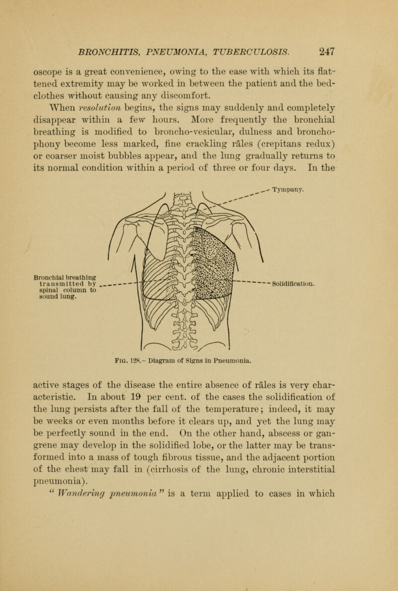 oscope is a great convenience, owing to the ease with which its flat- tened extremity may be worked in between the patient and the bed- clothes without causing any discomfort. When resolution begins, the signs may suddenly and completely disappear within a few hours. More frequently the bronchial breathing is modified to broncho-vesicular, dulness and broncho- phony become less marked, fine crackling rales (crepitans redux) or coarser moist bubbles appear, and the lung gradually returns to its normal condition within a period of three or four days. In the ^^. Tympany. Bronchial breathing transmitted by spinal column to sound lung. Solidification. Fig. 128.- Diagram of Signs in Pneumonia. active stages of the disease the entire absence of rales is very char- acteristic. In about 19 per cent, of the cases the solidification of the lung persists after the fall of the temperature; indeed, it may be weeks or even months before it clears up, and yet the lung may be perfectly sound in the end. On the other hand, abscess or gan- grene may develop in the solidified lobe, or the latter may be trans- formed into a mass of tough fibrous tissue, and the adjacent portion of the chest may fall in (cirrhosis of the lung, chronic interstitial pneumonia).  Wandering pneumonia  is a term applied to cases in which