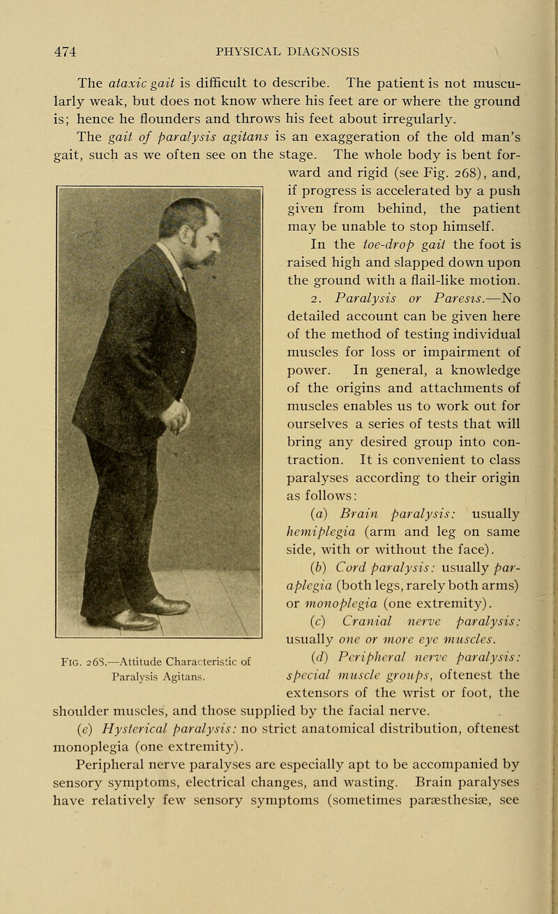 The ataxic gait is difficult to describe. The patient is not muscu- larly weak, but does not know where his feet are or where the ground is; hence he flounders and throws his feet about irregularly. The gait of paralysis agitans is an exaggeration of the old man's gait, such as we often see on the stage. The whole body is bent for- ward and rigid (see Fig. 268), and, if progress is accelerated by a push given from behind, the patient may be unable to stop himself. In the toe-drop gait the foot is raised high and slapped down upon the ground with a flail-like motion. 2. Paralysis or Paresis.—No detailed account can be given here of the method of testing individual muscles for loss or impairment of power. In general, a knowledge of the origins and attachments of muscles enables us to work out for ourselves a series of tests that will bring any desired group into con- traction. It is convenient to class paralyses according to their origin as follows: (a) Brain paralysis: usually hemiplegia (arm and leg on same side, with or without the face). (b) Cord paralysis: usually par- aplegia (both legs, rarely both arms) or monoplegia (one extremity). (c) Cranial nerve paralysis: usually one or more eye muscles. (d) Peripheral nerve paralysis: special muscle groups, oftenest the extensors of the wrist or foot, the shoulder muscles, and those supplied by the facial nerve. (e) Hysterical paralysis: no strict anatomical distribution, oftenest monoplegia (one extremity). Peripheral nerve paralyses are especially apt to be accompanied by sensory symptoms, electrical changes, and wasting. Brain paralyses have relatively few sensory symptoms (sometimes paresthesias, see Fig. 268.—Altitude Characteristic of Paralysis Agitans.