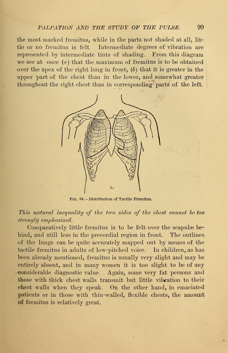 the most marked fremitus, while in the parts not shaded at all, lit- tle or no fremitus is felt. Intermediate degrees of vibration are represented by intermediate tints of shading. From this diagram we see at once (a) that the maximum of fremitus is to be obtained over the apex of the right lung in front, (b) that it is greater in the upper part of the chest than in the lower, and^somewhat greater throughout the right chest than in corresponding-parts of the left. Fig. 64.—Distribution of Tactile Fremitus. This natural inequality of the two sides of the chest cannot be too strongly emphasized. Comparatively little fremitus is to be felt over the scapulae be- hind, and still less in the precordial region in front. The outlines of the lungs can be quite accurately mapped out by means of the tactile fremitus in adults of low-pitched voice. In children, as has been already mentioned, fremitus is usually very slight and may be entirely absent, and in many women it is too slight to be of any considerable diagnostic value. Again, some very fat persons and those with thick chest walls transmit but little vibration to their chest walls when they speak. On the other hand, in emaciated patients or in those with thin-walled, flexible chests, the amount of fremitus is relatively great.