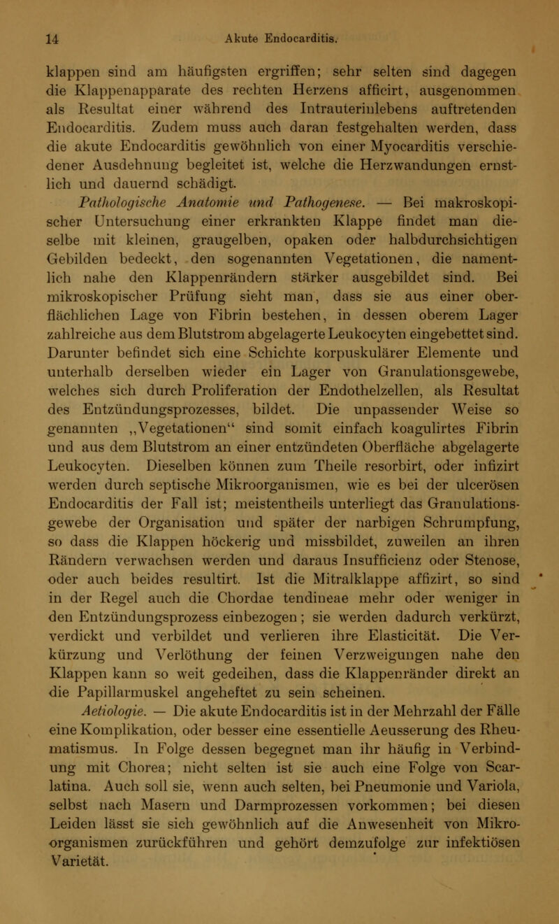 klappen sind am häufigsten ergriffen; sehr selten sind dagegen die Klappenapparate des rechten Herzens afficirt, ausgenommen als Resultat einer während des Intrauterinlebens auftretenden Endocarditis. Zudem muss auch daran festgehalten werden, dass die akute Endocarditis gewöhnlich von einer Myocarditis verschie- dener Ausdehnung begleitet ist, welche die Herzwandungen ernst- lich und dauernd schädigt. Pathologische Anatomie und Pathogenese. — Bei makroskopi- scher Untersuchung einer erkrankten Klappe findet man die- selbe mit kleinen, graugelben, opaken oder halbdurchsichtigen Gebilden bedeckt, den sogenannten Vegetationen, die nament- lich nahe den Klappenrändern stärker ausgebildet sind. Bei mikroskopischer Prüfung sieht man, dass sie aus einer ober- flächlichen Lage von Fibrin bestehen, in dessen oberem Lager zahlreiche aus dem Blutstrom abgelagerte Leukocyten eingebettet sind. Darunter befindet sich eine Schichte korpuskularer Elemente und unterhalb derselben wieder ein Lager von Granulationsgewebe, welches sich durch Proliferation der Endothelzellen, als Resultat des Entzündungsprozesses, bildet. Die unpassender Weise so genannten „Vegetationen sind somit einfach koagulirtes Fibrin und aus dem Blutstrom an einer entzündeten Oberfläche abgelagerte Leukocyten. Dieselben können zum Theile resorbirt, oder infizirt werden durch septische Mikroorganismen, wie es bei der ulcerösen Endocarditis der Fall ist; meistentheils unterliegt das Granulations- gewebe der Organisation und später der narbigen Schrumpfung, so dass die Klappen höckerig und missbildet, zuweilen an ihren Rändern verwachsen werden und daraus Insuffizienz oder Stenose, oder auch beides resultirt. Ist die Mitralklappe affizirt, so sind in der Regel auch die Chordae tendineae mehr oder weniger in den Entzündungsprozess einbezogen; sie werden dadurch verkürzt, verdickt und verbildet und verlieren ihre Elasticität. Die Ver- kürzung und Verlöthung der feinen Verzweigungen nahe den Klappen kann so weit gedeihen, dass die Klappenränder direkt an die Papillarmuskel angeheftet zu sein scheinen. Aetiologie. — Die akute Endocarditis ist in der Mehrzahl der Fälle eine Komplikation, oder besser eine essentielle Aeusserung des Rheu- matismus. In Folge dessen begegnet man ihr häufig in Verbind- ung mit Chorea; nicht selten ist sie auch eine Folge von Scar- latina. Auch soll sie, wenn auch selten, bei Pneumonie und Variola, selbst nach Masern und Darmprozessen vorkommen; bei diesen Leiden lässt sie sich gewöhnlich auf die Anwesenheit von Mikro- organismen zurückführen und gehört demzufolge zur infektiösen Varietät.