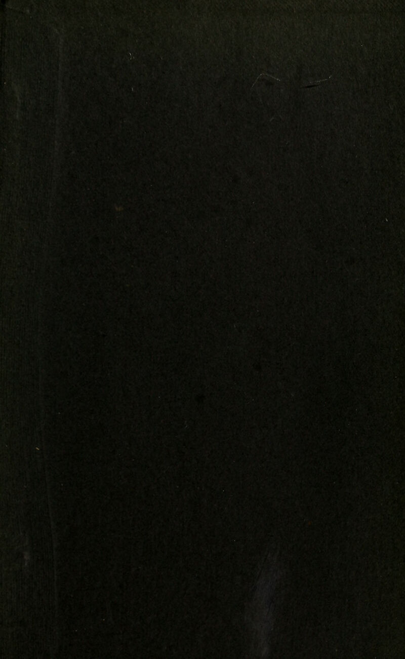 ■ ^m ■■■■-•■■'.. '■.'..':•'•■•■■•■. '•■••'■■■-. .■'■■■■■■ tyftaJK BITS-