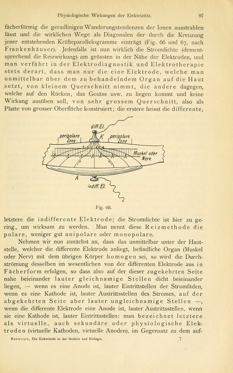 fächerförmig die geradlinigen Wanderungstendenzen der Ionen ausstrahlen lässt und die wirklichen Wege als Diagonalen der durch die Kreuzung jener entstehenden Kräfteparallelogramme einträgt (Fig. 66 und 67, nach Frankenhäuser). Jedenfalls ist nun wirklich die Stromdichte (dement- sprechend die Reizwirkung) am grössten in der Nähe der Elektroden, und man verfährt in der Elektrodiagnostik und Elektrotherapie stets derart, dass man nur die eine Elektrode, welche man unmittelbar über dem zu behandelndem Organ auf die Haut .setzt, von kleinem Querschnitt nimmt, die andere dagegen, welche auf den Rücken, das Gesäss usw. zu liegen kommt und keine Wirkung ausüben soll, von sehr grossem Querschnitt, also als Platte von grosser Oberfläche konstruiert; die erstere heisst die differente. ^ peripolare M.K peripolare Zone I Vjf^ —i~...__Zone Fig. 68. letztere die indifferente Elektrode; die Stromdichte ist hier zu ge- ring, um wirksam zu werden. Man nennt diese Reizmethode die polare, weniger gut unipolare oder monopolare. Nehmen wir nun zunächst an, dass das unmittelbar unter der Haut- stelle, welcher die differente Elektrode anliegt, befindliche Organ (Muskel oder Nerv) mit dem übrigen Körper homogen sei, so wird die Durch- strömung desselben im wesentlichen von der differenten Elektrode aus in Fächerform erfolgen, so dass also auf der dieser zugekehrten Seite nahe beieinander lauter gleichnamige Stellen dicht beieinander liegen, — wenn es eine Anode ist, lauter Eintrittstellen der Stromfäden, wenn es eine Kathode ist, lauter Austrittsstellen des Stromes, auf der abgekehrten Seite aber lauter ungleichnamige Stellen —, wenn die differente Elektrode eine Anode ist, lauter Austrittsstellen, wenn sie eine Kathode ist, lauter Eintrittsstellen: man bezeichnet letztere als virtuelle, auch sekundäre oder physiologische Elek- troden (virtuelle Kathoden, virtuelle Anoden), im Gegensatz zu dem auf- Boruttau, Die Elektrizität in der Medizin und Biologie. 7