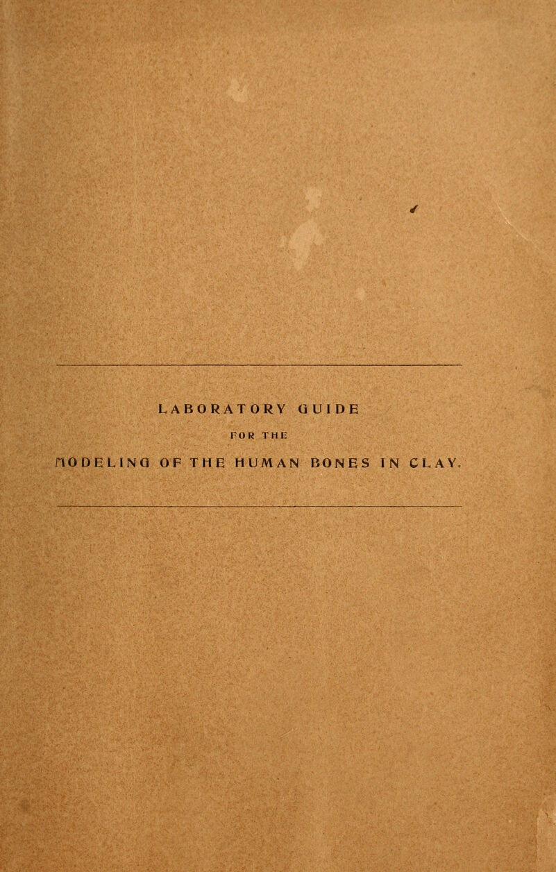 LABORATORY GUIDE FOR THE riODELINQ OF THE HUMAN BONES IN CLAY.