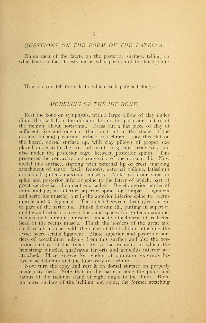 QUESTIONS ON THE FORM OF THE PATELLA. Name each of the facets on the posterior surface, telling on what bony surface it rests and in what position of the knee joint? How do you tell the side to which each patella belongs! MODELING OF THE HIP BONE. Rest the bone en symphysis, with a large pillow of clay under ilium that will hold the dorsum ilii and the posterior surface of the ischium about horizontal. Press out a flat piece of clay of sufficient size and one cm. thick and cut in the shape of the dorsum ilii and posterior surface of ischium. Lay this flat on the board, dorsal surface up, with clay pillows of proper size placed underneath the crest at point of greatest convexity and also under the posterior edge, between posterior spines. This preserves the concavity and convexity of the dorsum ilii. Now model this surface, starting with external lip of crest, marking attachment of tensor fascia femoris, external oblique, latissimus dorsi and gluteus maximus muscles. Make posterior superior spine and posterior inferior spine to the latter of which, part of great sacro-sciatic ligament is attached. Bevel anterior border of ilium and put in anterior superior spine for 'Poupart's ligament and sartorius muscle; put in the anterior inferior spine for rectus muscle and J^- ligament. The notch between them gives origin to part of the sartorius. Finish dorsum ilii, putting in superior, middle and inferior curved lines and spaces for gluteus maximus, medius and minimus muscles; indicate attachment of reflected head of the rectus muscle. Finish the borders of the great and small sciatic notches with the spine of the ischium, attaching the lesser sacro-sciatic ligament. Make superior and posterior bor- ders of acetabulum bulging from this surface and also the pos- terior surface of the tuberosity of the ischium,, to which the hamstring muscles, quadratus femoris and gemellus inferior are attached. Place groove for tendon of obturator externus be- tween acetabulum and the tuberositv of ischium. Now turn the copy and rest it on dorsal surface on properly made clay bed. Note that in the pattern bone the pubis and ramus of the ischium stand at right angle to the ilium. Build up inner surface of the ischium and spine, the former attaching