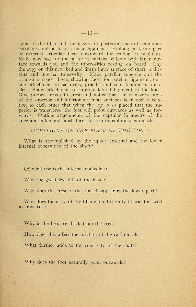 spine of the tibia and the facets for posterior ends of semilunar cartilages and posterior crucial ligament. Prolong- posterior part of external articular facet downward for tendon of popliteus.. Make new bed for the posterior surface of bone with inner sur- face towards you and the tuberosities resting on board. Lay the copy on this new bed and finish inner surface of shaft, malle- olus and internal tuberosity. Make patellar tubercle and the triangular space above, showing facet for patellar ligament; out- line attachment of sartorius, gracilis and semi-tendinosus mus- cles. Show attachment of internal lateral ligament of the knee. Give proper curves to crest and notice that the transverse axis of the superior and inferior articular surfaces bear such a rela- tion to each other that when the leg is so placed that the su- perior is transverse, the 'foot will point outwards as well as for- wards. Outline attachments of the capsular ligaments of the knee and ankle and finish facet for semi-membranosus muscle. QUESTIONS ON THE FORM OF THE TIBIA. What is accomplished by the upper external and the lower internal concavities of the shaft? Of what use is the internal malleolus? Why the great breadth of the head? Why does the crest of the tibia disappear in the lower part? Why does the crest of the tibia extend slightly forward as well as upwards? Why is the head set back from the crest? How does this affect the position of the calf muscles? What further adds to the concavity of the shaft? Why does the foot naturally point outwards ?