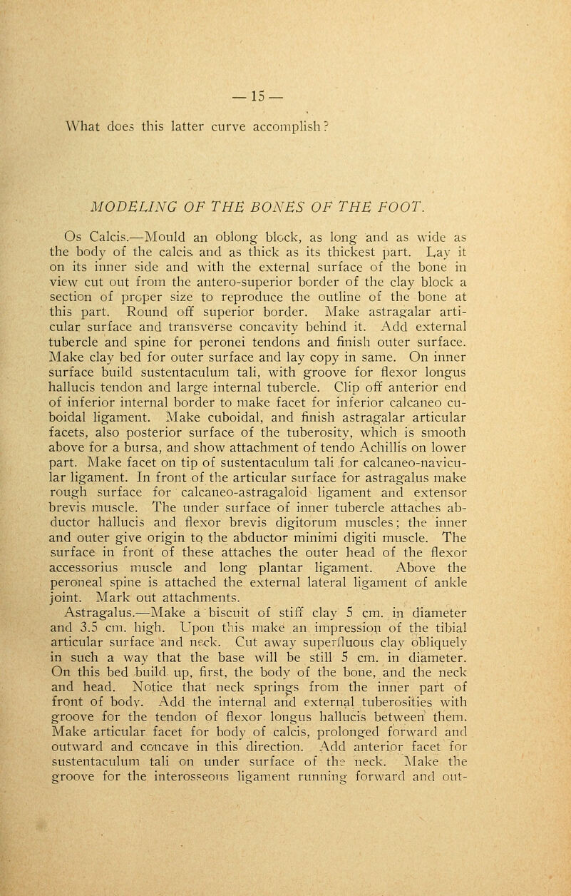 What does this latter curve accomplish ? MODELING OF THE BONBS OF THE FOOT. Os Calcis.-—Mould an oblong block, as long and as wide as the bod}^ of the calcis and as thick as its thickest part. Lay it on its inner side and with the external surface of the bone in view cut out from the antero-superior border of the clay block a section of proper size to reproduce the outline of the bone at this part. Round off superior border. Make astragalar arti- cular surface and transverse concavity behind it. Add external tubercle and spine for peronei tendons and finish outer surface. Make clay bed for outer surface and lay copy in same. On inner surface build sustentaculum tali, with groove for flexor longus hallucis tendon and large internal tubercle. Clip off anterior end of inferior internal border to make facet for inferior calcaneo cu- boidal ligament. Make cuboidal, and finish astragalar articular facets, also posterior surface of the tuberosity, which is smooth above for a bursa, and show attachment of tendo Achillis on lower part. Make facet on tip of sustentaculum tali for calcaneo-navicu- lar ligament. In front of the articular surface for astragalus make rough surface for calcaneo-astragaloid ligament and extensor brevis muscle. The under surface of inner tubercle attaches ab- ductor hallucis and flexor brevis digitorum muscles; the inner and outer give origin to the abductor minimi digiti muscle. The surface in front of these attaches the outer head of the flexor accessorius muscle and long plantar ligament. Above the peroneal spine is attached the external lateral ligament of ankle joint. Mark out attachments. Astragalus.—Make a biscuit of stiff clay 5 cm. in diameter and 3.5 cm. high. Upon this make an impression of the tibial articular surface and neck. Cut away superfluous clay obliquely in such a way that the base will be still 5 cm. in diameter. On this bed build, up, first, the body of the bone, and the neck and head. Notice that neck spring-s from the inner part of front of bodv. Add the internal and external tuberosities with groove for the tendon of flexor longus hallucis between them. Make articular facet for body of calcis, prolonged forward and outward and concave in this direction. Add anterior facet for sustentaculum tali on under surface of the neck. Make the groove for the interosseous ligament runnino- forward and out-