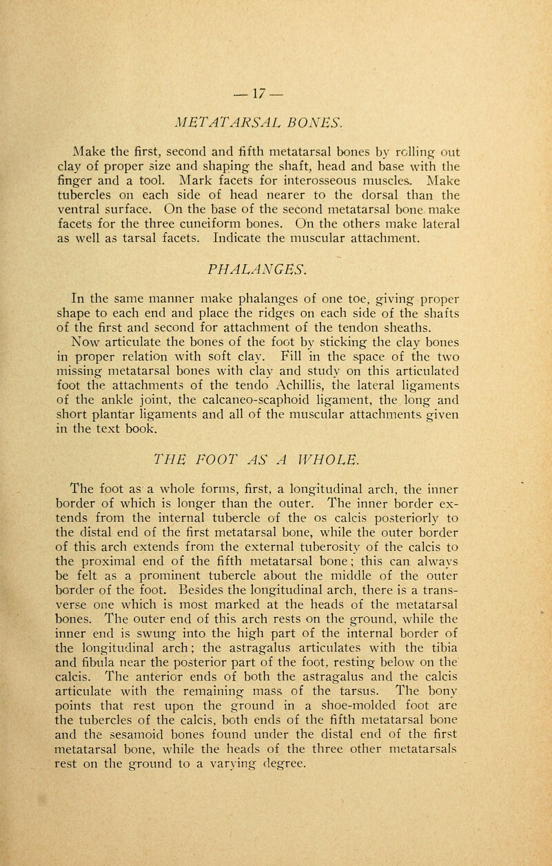 METATARSAL BONUS. Make the first, second and fifth metatarsal bones by rolling out clay of proper size and shaping the shaft, head and base with the finger and a tool. Mark facets for interosseous muscles. Make tubercles on each side of head nearer to the dorsal than the ventral surface. On the base of the second metatarsal bone make facets for the three cuneiform bones. On the others make lateral as well as tarsal facets. Indicate the muscular attachment. PHALANGES. In the same manner make phalanges of one toe, giving proper shape to each end and place the ridges on each side of the shafts of the first and second for attachment of the tendon sheaths. Now articulate the bones of the foot by sticking the clay bones in proper relation with soft clay. Fill in the space of the two missing metatarsal bones with clay and study on this articulated foot the attachments of the tendo Achillis, the lateral ligaments of the ankle joint, the calcaneo-scaphoid ligament, the long and short plantar ligaments and all of the muscular attachments given in the text book. THE FOOT AS A WHOLE. The foot as a whole forms, first, a longitudinal arch, the inner border of which is longer than the outer. The inner border ex- tends from the internal tubercle of the os calcis posteriorly to the distal end of the first metatarsal bone, while the outer border of this arch extends from the external tuberosity of the calcis to the proximal end of the fifth metatarsal bone; this can always be felt as a prominent tubercle about the middle of the outer border of the foot. Besides the longitudinal arch, there is a trans- verse one which is most marked at the heads of the metatarsal bones. The outer end of this arch rests on the ground, while the inner end is swung into the high part of the internal border of the longitudinal arch; the astragalus articulates with the tibia and fibula near the posterior part of the foot, resting below on the calcis. The anterior ends of both the astragalus and the calcis articulate with the remaining mass of the tarsus. The bony points that rest upon the ground in a shoe-molded foot are the tubercles of the calcis, both ends of the fifth metatarsal bone and the sesamoid bones found under the distal end of the first metatarsal bone, while the heads of the three other metatarsals rest on the ground to a varying degree.