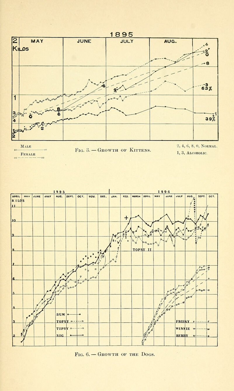2 Ki MAY LDS JUNE JULY AUG. ■'c^ o4 -' o „ .,.-- /^ ^v' ,- -3 63J& 1 4 r——^ 39JJ 2 v^'^^-'~ Fig. o. — Growth of Kittens. '1, \, 0, 8, 0, Normal. 1, 3, Alcoholic. Fig. 6. — Growth of the Dogs.