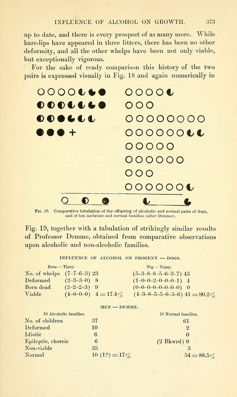 up to date, and there is every prospect of as many more. While hare-lips have appeared in three litters, there has been no other deformity, and all the other whelps have been not only viable, but exceptionally vigorous. For the sake of ready comparison this history of the two pairs is expressed visually in Fig. 18 and again numerically in 0000€.^# OOOOC €€i>€C^# OOO ©€#I^CC OOOOOOOO • ••-i- OOOOOOC/C ooooo oooooo OOO OOOOOOC/ 0___€__# t> §f Fig. 19. Comparative tabulation of the offspring of alcoholic and normal pairs of dogs, and of ten inebriate and normal families (after Demme). Fig. 19, together with a tabulation of strikingly similar results of Professor Demme, obtained from comparative observations upon alcoholic and non-alcoholic families. INFLUENCE OF ALCOHOL ON PROGENY — DOGS. Bum — Tipsy. Nig — Topsy. No. of whelps (7-7-6-3) 23 (5-3-8-8-5-6-3-7) 45 Deformed (2-3-3-0) 8 (l_0-0-2-0-0-0-l) 4 Born dead (2-2-2-3) 9 (0-0-0-0-0-0-0-0) 0 Viable (4-0-0-0) 4 = 17.4^ (4-3-8-5-5-6-3-6)41=90.2'^ MEN- - DEMME. 10 Alcoholic families. 10 Normal families. No. of children 57 61 Deformed 10 2 Idiotic 6 0 Epileptic, choreic 6 (2 Bkwrd) 0 Non-viable 25 3 Normal 10 (1?). = 17^, 54 = 88.5^