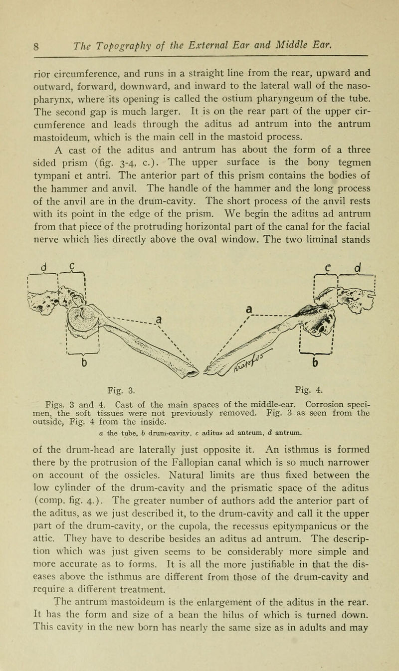 rior circumference, and runs in a straight line from the rear, upward and outward, forward, downward, and inward to the lateral wall of the naso- pharynx, where its opening is called the ostium pharyngeum of the tube. The second gap is much larger. It is on the rear part of the upper cir- cumference and leads through the aditus ad antrum into the antrum mastoideum, which is the main cell in the mastoid process. A cast of the aditus and antrum has about the form of a three sided prism (fig. 3-4, c). The upper surface is the bony tegmen tympani et antri. The anterior part of this prism contains the bodies of the hammer and anvil. The handle of the hammer and the long process of the anvil are in the drum-cavity. The short process of the anvil rests with its point in the edge of the prism. We begin the aditus ad antrum from that piece of the protruding horizontal part of the canal for the facial nerve which lies directly above the oval window. The two liminal stands Fig. 3. Fig. 4. Figs. 3 and 4. Cast of the main spaces of the middle-ear. Corrosion speci- men, the soft tissues were not previously removed. Fig. 3 as seen from the outside, Fig. 4 from the inside. a the tube, b drum-cavity, c aditus ad antrum, d antrum. of the drum-head are laterally just opposite it. An isthmus is formed there by the protrusion of the Fallopian canal which is so much narrower on account of the ossicles. Natural limits are thus fixed between the low cylinder of the drum-cavity and the prismatic space of the aditus (comp. fig. 4.). The greater number of authors add the anterior part of the aditus, as we just described it, to the drum-cavity and call it the upper part of the drum-cavity, or the cupola, the recessus epitympanicus or the attic. They have to describe besides an aditus ad antrum. The descrip- tion which was just given seems to be considerably more simple and more accurate as to forms. It is all the more justifiable in that the dis- eases above the isthmus are different from those of the drum-cavity and require a different treatment. The antrum mastoideum is the enlargement of the aditus in the rear. It has the form and size of a bean the hilus of which is turned down. This cavity in the new born has nearly the same size as in adults and may