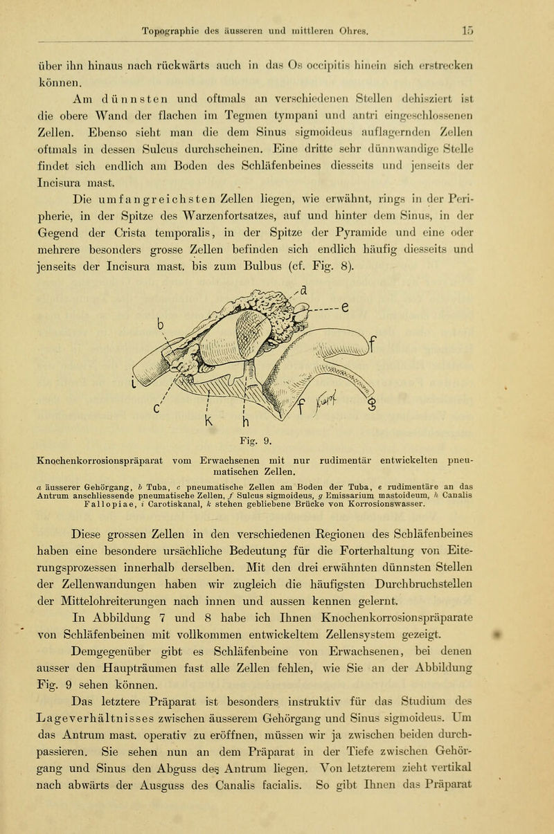 über ihn hinaus nach rückwärts auch in das Os occipitie hinein sich erstrecken können. Am dünnsten und oftmals an verschiedenen Stellen deliisziert ist die obere Wand der flachen im Teginen tympani und antri eingeschlossenen Zellen. Ebenso sieht man die dem Sinus sigmoideus auflagernden Zellen oftmals in dessen Sulcus durchscheinen. Eine dritte sehr dünnwandige Stelle findet sich endlich am Boden des Schläfenbeines diesseits und jenseits der Incisura mast. Die umfangreichsten Zellen liegen, wie erwähnt, rings in der Peri- pherie, in der Spitze des Warzenfortsatzes, auf und hinter dem Sinns, in der Gegend der Crista temporalis, in der Spitze der Pyramide und eine oder mehrere besonders grosse Zellen befinden sich endlich häufig diesseits und jenseits der Incisura mast. bis zum Bulbus (cf. Fig. 8). Fig. 9. Knochenkorrosionspräparat vom Erwachsenen mit nur rudimentär entwickelten pneu- matischen Zellen. a äusserer Gehörgang, * Tuba, c pneumatische Zellen am Boden der Tuba, e rudimentäre an das Antrum anschliessende pneumatische Zellen, / Sulcus sigmoideus, g Emissarium mastoideum, h Canalis Fallopiae, i Carotiskanal, k stehen gebliebene Brücke von Korrosionswasser. Diese grossen Zellen in den verschiedenen Regionen des Schläfenbeines haben eine besondere ursächliche Bedeutung für die Forterhaltung von Eite- rungsprozessen innerhalb derselben. Mit den drei erwähnten dünnsten Stellen der Zellenwandungen haben wir zugleich die häufigsten Durchbruchstellen der Mittelohreiterungen nach innen und aussen kennen gelernt. In Abbildung 7 und 8 habe ich Ihnen Knochenkorrosionspräparate von Schläfenbeinen mit vollkommen entwickeltem Zellensystem gezeigt. Demgegenüber gibt es Schläfenbeine von Erwachsenen, bei denen ausser den Haupträumen fast alle Zellen fehlen, wie Sie an der Abbildung Fig. 9 sehen können. Das letztere Präparat ist besonders instruktiv für das Studium des Lageverhältnisses zwischen äusserem Gehörgang und Sinus sigmoideus. Um das Antrum mast. operativ zu eröffnen, müssen wir ja zwischen beiden durch- passieren. Sie sehen nun an dem Präparat in der Tiefe zwischen Gehör- gang und Sinus den Abguss des. Antrum liegen. ATon letzterem zieht vertikal nach abwärts der Ausguss des Canalis facialis. So gibt Ihnen das Präparat