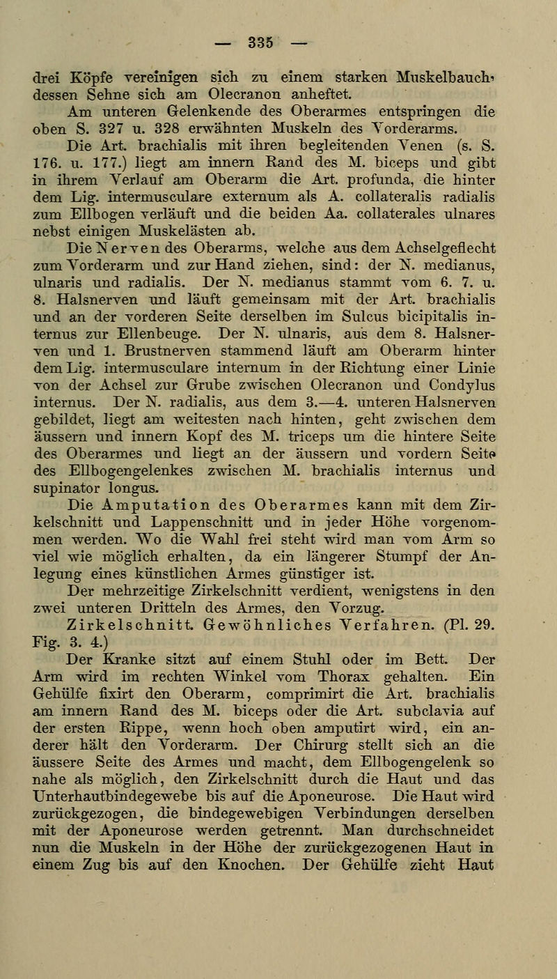 drei Köpfe vereinigen sich zu einem starken Miiskelbanch' dessen Sehne sich am Olecranon anheftet. Am unteren Gelenkende des Oberarmes entspringen die oben S. 327 u. 328 erwähnten Muskeln des Yorderarms. Die Art. brachialis mit ihren begleitenden Yenen (s. S. 176. u. 177.) liegt am innern Rand des M. biceps und gibt in ihrem Yerlauf am Oberarm die Art. profunda, die hinter dem Lig. intermusculare externum als A. collateralis radialis zum Ellbogen verläuft und die beiden Aa. collaterales ulnares nebst einigen Muskelästen ab. Die Nerven des Oberarms, welche aus dem Achselgeflecht zum Yorderarm und zur Hand ziehen, sind: der N. medianus, ulnaris und radialis. Der N. medianus stammt vom 6. 7. u. 8. Halsnerven und läuft gemeinsam mit der Art. brachialis und an der vorderen Seite derselben im Sulcus bicipitalis in- ternus zur Ellenbeuge. Der N. ulnaris, aus dem 8. Halsner- ven und 1. Brustnerven stammend läuft am Oberarm hinter dem Lig. intermusculare internum in der Richtung einer Linie von der Achsel zur Grube zwischen Olecranon und Condylus internus. Der N. radialis, aus dem 3.—4. unteren Halsnerven gebildet, liegt am weitesten nach hinten, geht zwischen dem äussern und innern Kopf des M. triceps um die hintere Seite des Oberarmes und liegt an der äussern und vordem Seite» des Ellbogengelenkes zwischen M. brachialis internus und supinator longus. Die Amputation des Oberarmes kann mit dem Zir- kelschnitt und Lappenschnitt und in jeder Höhe vorgenom- men werden. Wo die Wahl frei steht wird man vom Arm so viel wie möglich erhalten, da ein längerer Stumpf der An- legung eines künstlichen Armes günstiger ist. Der mehrzeitige Zirkelschnitt verdient, wenigstens in den zwei unteren Dritteln des Armes, den Yorzug. Zirkelschnitt. Gewöhnliches Yerfahren. (PI. 29. Fig. 3. 4.) Der Kranke sitzt auf einem Stuhl oder im Bett. Der Arm wird im rechten Winkel vom Thorax gehalten. Ein Gehülfe fixirt den Oberarm, comprimirt die Art. brachialis am innern Rand des M. biceps oder die Art. subclavia auf der ersten Rippe, wenn hoch oben amputirt wird, ein an- derer hält den Yorderarm. Der Chirurg stellt sich an die äussere Seite des Armes und macht, dem Ellbogengelenk so nahe als möglich, den Zirkelschnitt durch die Haut und das Unterhautbindegewebe bis auf die Aponeurose. Die Haut wird zurückgezogen, die bindegewebigen Yerb in düngen derselben mit der Aponeurose werden getrennt. Man durchschneidet nun die Muskeln in der Höhe der zurückgezogenen Haut in einem Zug bis auf den Knochen. Der GehüKe zieht Haut