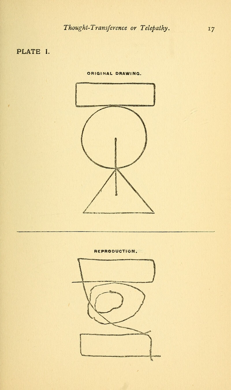 PLATE I. ORIGINAL DRAWING.