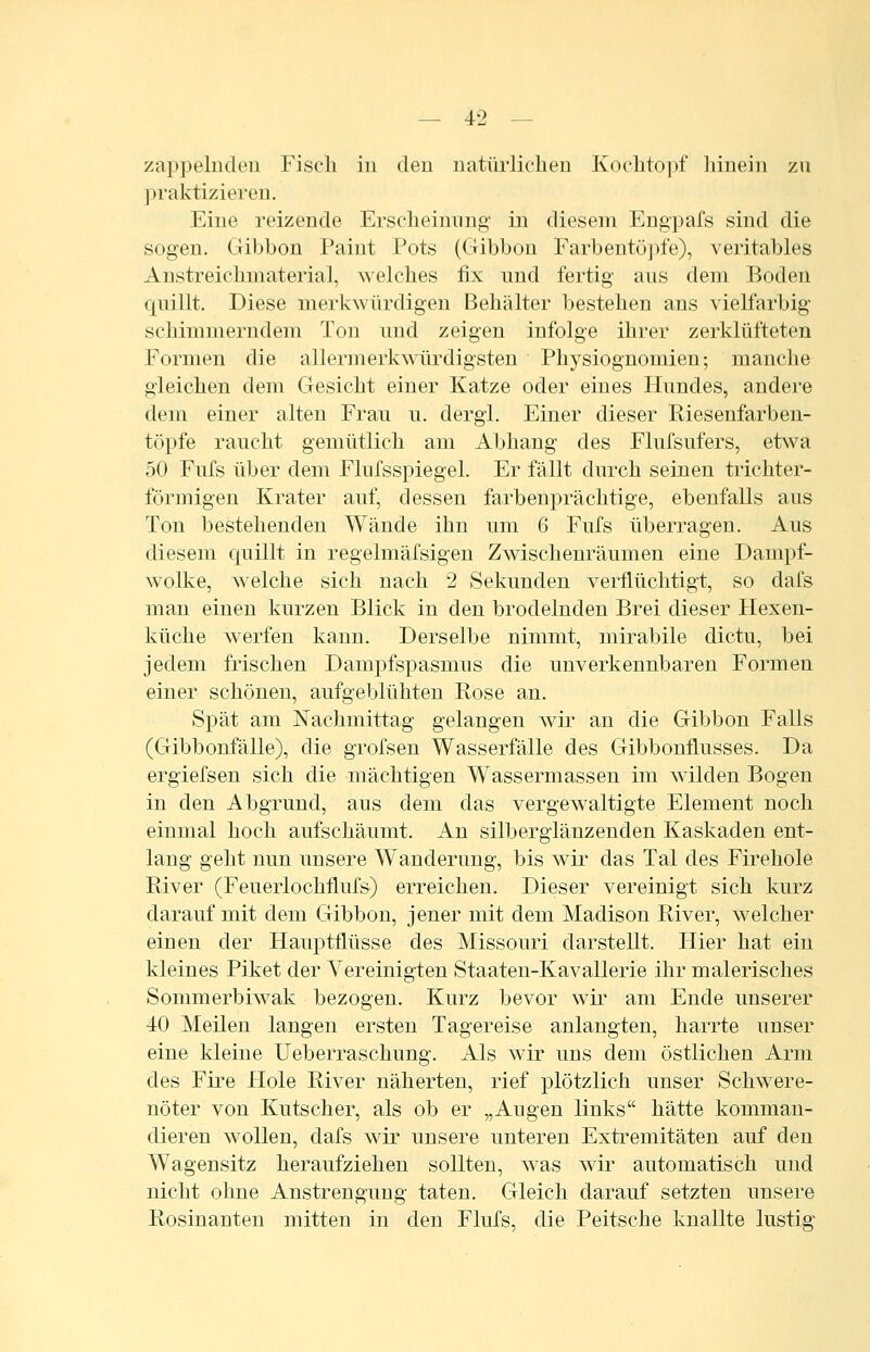 zappelnden Fisch in den natürliclien Koelitoi)f liinein zn praktizieren. Eine reizende Erscheinung in diesem Engpafs sind die sogen. Gibbon Paint Pots (Gibbon Farbentö])fe), veritables Anstreichniaterial, welches fix und fertig aus dem Boden cßüllt. Diese merkwürdigen Behälter bestehen ans vielfarbig schimmerndem Ton und zeigen infolge ihrer zerklüfteten Formen die allermerkwürdigsten Physiognomien; manche gleichen dem Gesicht einer Katze oder eines Hundes, andere dem einer alten Frau u. dergi. Einer dieser Riesenfarbeu- töpfe raucht gemütlich am Abhang des Flufsufers, etsva 50 Fufs über dem Flufsspiegel. Er fällt durch seinen trichter- förmigen Krater auf, dessen farbenprächtige, ebenfalls aus Ton bestehenden Wände ihn um 6 Fufs überragen. Aus diesem cj[uillt in regelmäfsigen Zwischenräumen eine Dampf- wolke, welche sich nach 2 Sekunden verflüchtigt, so dafs mau einen kurzen Blick in den brodelnden Brei dieser Hexen- küche werfen kann. Derselbe nimmt, mirabile dictu, bei jedem frischen Dampfspasmus die unverkennbaren Formen einer schönen, aufgeblühten Rose an. Spät am Nachmittag gelangen wir an die Gibbon Falls (Gibbonfälle), die grofsen Wasserfälle des Gibbonflusses. Da ergiefsen sich die mächtigen Wassermassen im wilden Bogen in den Abgrund, aus dem das vergewaltigte Element noch einmal hoch aufschäumt. An silberglänzenden Kaskaden ent- lang geht nun unsere Wanderung, bis wii^ das Tal des Firehole River (Feuerlochflufs) erreichen. Dieser vereinigt sich kurz darauf mit dem Gibbon, jener mit dem Madison River, welcher einen der Hauptflüsse des Missouri darstellt. Hier hat ein kleines Piket der Vereinigten Staaten-Kavallerie ihr malerisches Sommerbiwak bezogen. Kurz bevor wii' am Ende unserer 40 Meilen langen ersten Tagereise anlangten, harrte unser eine kleine Ueberraschung. Als wir uns dem östlichen Arm des Fire Hole River näherten, rief plötzlich unser Schwere- nöter von Kutscher, als ob er „Augen links hätte komman- dieren wollen, dafs Avir unsere unteren Extremitäten auf den Wagensitz heraufziehen sollten, was wir automatisch und nicht ohne Anstrengung taten. Gleich darauf setzten unsere Rosinanten mitten in den Flufs, die Peitsche knallte lustig