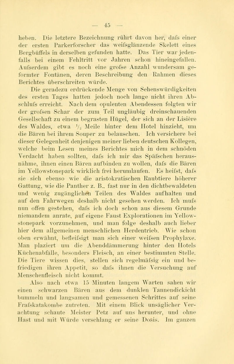 heben. Die letztere Bezeichnung rührt davon her, clafs einer der ersten Parkerforscher das weifsgiänzende Skelett eines Bergbüfiels in derselben gefunden hatte. Das Tier war jeden- falls bei einem Fehltritt vor Jahren schon hineingefallen. Aufserdem gibt es noch eine grofse Anzahl wundersam ge- formter Fontänen, deren Beschreibung den Rahmen dieses Berichtes überschreiten würde. Die geradezu erdrückende Menge von Sehenswürdigkeiten des ersten Tages hatten jedoch noch lange nicht ihren Ab- schlufs eiTeicht. Nach dem opulenten Abendessen folgten wir der grofsen Schar der zum Teil ungläubig dreinschauenden Gesellschaft zu einem begrasten Hügel, der sich an der Lisiere des Waldes, etwa '/2 Meile hinter dem Hotel hinzieht, um die Bären bei ihrem Souper zu belauschen. Ich versichere bei dieser Gelegenheit denjenigen meiner lieben deutschen Kollegen, welche beim Lesen meines Berichtes mich in dem schnöden Terdacht haben sollten, dafs ich mir das Späl'schen heraus- nähme, ihnen einen Bären aufbinden zu wollen, dafs die Bären im Yellowstouepark wirklich frei herumlaufen. Es heifst, dafs sie sich ebenso wie die aristokratischen Raubtiere höherer Gattung, wie die Panther z. B.. fast nur in den dichtbewaldeten und wenig zugänglichen Teilen des Waldes aufhalten und auf den Fahrwegen deshalb nicht gesehen werden-. Ich mufs nun offen gestehen, dafs ich doch schon aus diesem Grunde niemandem anrate, ßuf eigene Faust Explorationen im Yellow- stonepark vorzunehmen, und man folge deshalb auch lieber hier dem allgemeinen menschlichen Herdentrieb. Wie schon oben erwähnt, befleifsigt man sich einer Aveifsen Prophylaxe. Man plaziert um die Al)enddämmerung hinter den Hotels Küchenabfälle, besonders Fleisch, an einer bestimmten Stelle. Die Tiere wissen dies, stellen sieh regelmäfsig ein und be- friedigen ihren A]jpetit, so dafs ihnen die Versuchung auf Menschenfleisch nicht kommt. Also nach etwa 15 ^liuuten langem Warten sahen Mir einen schwarzen Bären aus dem dunklen Tannendickicht bummeln und langsamen und gemessenen Schrittes auf seine Frafskatakombe zutreten. Mit einem Blick unsäglicher Ver- achtung schaute Meister Petz auf uns lierunter, und olme Jlast und mit Würde verschlang er seine Dofeis. Im ganzen