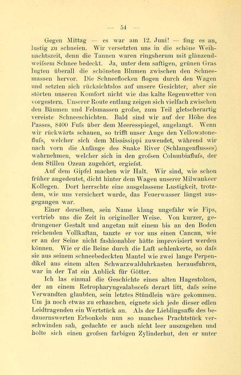 Gegen Mittag — es war am 12. Juni! — fing es an, lastig zu schneien. Wir versetzten uns in die schöne Weih- nachtszeit, denn die Tannen waren ringsherum mit gMnzend- weifsem Schnee bedeckt. Ja, unter dem saftigen, grünen Gras lugten überall die schönsten Blumen zwischen den Schnee- massen hervor. Die Schneeflocken flogen durch den Wagen und setzten sich rücksichtslos auf unsere Gesichter, aber sie störten unseren Komfort nicht wie das kalte Regenwetter von vorgestern. Unserer Route entlang zeigen sich vielfach zwischen den Bäumen und Felsmassen grofse, zum Teil glets eher artig vereiste Schneeschichten. Bald sind wir auf der Höhe de& Passes, 8400 Fufs über dem Meeresspiegel, angelangt. Wenn wdr rückwärts schauen, so tiifft unser Auge den Yellowstone- flufs, welcher sich dem Mississippi zuwendet, während wir nach vorn die Anfänge des Snake River (Schlangenflusses) wahrnehmen, welcher sich in den grofsen Columbiaflufs, der dem Stillen Ozean zugehört, ergiefst. Auf dem Gipfel machen wir Halt. Wir sind, wie schon früher angedeutet, dicht hinter dem Wagen unserer Milwaukeer Kollegen. Dort herrschte eine ausgelassene Lustigkeit, trotz- dem, wie uns versichert wurde, das Feuerwasser längst aus- gegangen war. Einer derselben, sein Name klang ungefähr wie Fips,, vertrieb uns die Zeit in origineller Weise. Von kurzer, ge- drungener Gestalt und angetan mit einem bis an den Boden reichenden Yollkaftan, tanzte er vor uns einen Cancan, wie er an der Seine nicht fashionabler hätte improvisiert werden können. Wie er die Beine durch die Luft schlenkerte, so dafs- sie aus seinem schneebedeckten Mantel wie zwei lange Perpen- dikel aus einem alten Schwarzwalduhrkasten herausfuhren,, war in der Tat ein Anblick für Götter. Ich las einmal die Geschichte eines alten Hagestolzen, der an einem Retropharyngealabscefs derart litt, dafs seine Verwandten glaubten, sein letztes Stündlein wäre gekommen. Um ja noch etwas zu erhaschen, eignete sich jede dieser edlen Leidti^agenden ein Wertstück an. Als der Lieblingsaffe des be- dauernswerten Erbonkels nun so manches Prachtstück ver- schwinden sah, gedachte er auch nicht leer auszugehen und holte sich einen grofsen farbigen Zylinderhut, den er unter