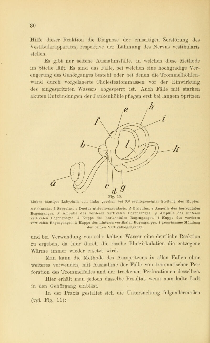 Hilfe dieser Reaktion die Diagnose der einseitigen Zerstörung des Vestibularapparates, respektive der Lähmung des Nervus vestibularis stellen. Es gibt nur seltene Ausnahmsfälle, in welchen diese Methode im Stiche läßt. Es sind das Fälle, bei welchen eine hochgradige Ver- engerung des Gehörganges besteht oder bei denen die Trommelhöhlen- wand durch vorgelagerte Cholesteatommassen vor der Einwirkung des eingespritzten Wassers abgesperrt ist. Auch Fälle mit starken akuten Entzündungen der Paukenhöhle pflegen erst bei langem Spritzen h Fig. 10. Linkes häutiges Labyrinth von links gesehen bei 90° rechtsgeneigter Stellung des Kopfes a Schnecke, b Sacculus. c Ductus utriculo-saccularis. d Utriculus. e Ampulle des horizontalen Bogenganges. / Ampulle des vorderen vertikalen Bogenganges, g Ampulle des hinteren vertikalen Bogenganges, h Kuppe des horizontalen Bogenganges, i Kuppe des vorderen vertikalen Bogenganges, k Kuppe des hinteren vertikalen Bogenganges. I gemeinsame Mündung der beiden Vertikalbogengänge. und bei Verwendung von sehr kaltem Wasser eine deutliche Reaktion zu ergeben, da hier durch die rasche Blutzirkulation die entzogene Wärme immer wieder ersetzt wird. Man kann die Methode des Ausspritzens in allen Fällen ohne weiteres verwenden, mit Ausnahme der Fälle von traumatischer Per- foration des Trommelfelles und der trockenen Perforationen desselben. Hier erhält man jedoch dasselbe Resultat, wenn man kalte Luft in den Gehörgang einbläst. In der Praxis gestaltet sich die Untersuchung folgendermaßen (vgl. Fig. 11):