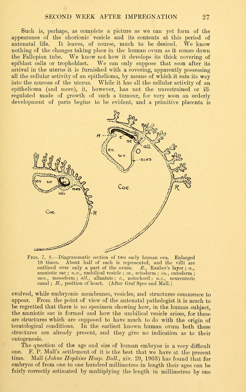 Such is, perhaps, as complete a picture as we can yet form of the appearance of the chorionic vesicle and its contents at this period of antenatal life. It leaves, of course, much to be desired. We know nothing of the changes taking place in the human ovum as it comes down the Fallopian tube. We know not how it develops its thick covering of epiblast cells or trophoblast. We can only suppose that soon after its arrival in the uterus it is furnished with a covering, apparently possessing all the cellular activity of an epithelioma, by means of which it eats its way into the mucosa of the uterus. While it has all the cellular activity of an epithelioma (and more), it, however, has not the unrestrained or ill- regulated mode of. growth of such a tumour, for very soon an orderly development of parts begins to be evident, and a primitive placenta is Figs, 7, 8.—Diagrammatic section of two early human ova. Enlarged 10 times. About half of each is represented, and the villi are outlined over only a part of the ovum. E., Rauber's layer; a., anmiotic sac ; u.v., iimbilieal vesicle ; ec, ectoderm ; en., entoderm ; 7/ies., mesoderm; aJJ., allantois; c, notochord; n.c., neurenteric canal; H., position of heart. (After Graf Spee and Mall.) evolved, while embryonic membranes, vesicles, and structures commence to appear. From the point of view of the antenatal pathologist it is much to be regretted that there is no specimen showing how, in the human subject, the amniotic sac is formed and how the umbilical vesicle arises, for these are structures which are supposed to have much to do with the origin of teratological conditions. In the earliest known human ovum both these structures are already present, and they give no indication as to their ontogenesis. The question of the age and size of human embryos is a very difficult one. ¥. P. Mall's settlement of it is the best that we have at the present time. Mall (Johns Hopkins Hosp. Bull., xiv. 29, 1903) has found that for embryos of from one to one hundred millimetres in length their ages can be fairly correctly estimated by multiplying the length in millimetres by one