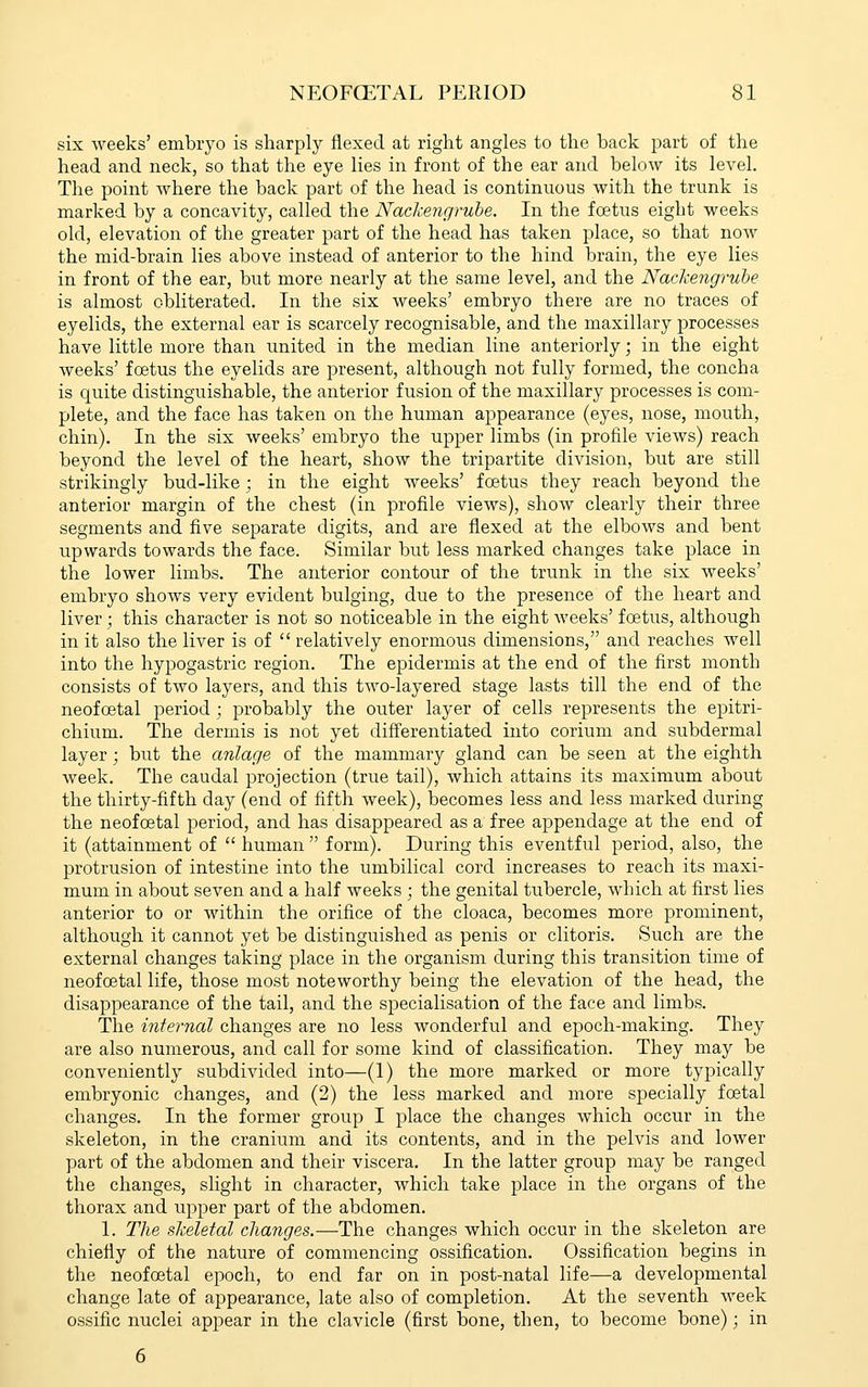 six weeks' embryo is sharply flexed at right angles to the back part of the head and neck, so that the eye lies in front of the ear and below its level. The point where the back part of the head is continuous with the trunk is marked by a concavity, called the Nackengruhe. In the foetus eight weeks old, elevation of the greater part of the head has taken place, so that now the mid-brain lies above instead of anterior to the hind brain, the eye lies in front of the ear, but more nearly at the same level, and the Nackengrube is almost obliterated. In the six weeks' embryo there are no traces of eyelids, the external ear is scarcely recognisable, and the maxillary processes have little more than united in the median line anteriorly; in the eight weeks' foetus the eyelids are present, although not fully formed, the concha is quite distinguishable, the anterior fusion of the maxillary processes is com- plete, and the face has taken on the human appearance (eyes, nose, mouth, chin). In the six weeks' embryo the upper limbs (in profile views) reach beyond the level of the heart, show the tripartite division, but are still strikingly bud-like; in the eight weeks' foetus they reach beyond the anterior margin of the chest (in profile views), show clearly their three segments and five separate digits, and are flexed at the elbows and bent upwards towards the face. Similar but less marked changes take place in the lower limbs. The anterior contour of the trunk in the six weeks' embryo shows very evident bulging, due to the presence of the heart and liver ; this character is not so noticeable in the eight weeks' foetus, although in it also the liver is of  relatively enormous dimensions, and reaches well into the hypogastric region. The epidermis at the end of the first month consists of two layers, and this two-layered stage lasts till the end of the neofoetal period; probably the outer layer of cells represents the epitri- chium. The dermis is not yet difi'erentiated into corium and subdermal layer; but the anlage of the mammary gland can be seen at the eighth week. The caudal projection (true tail), which attains its maximum about the thirty-fifth day (end of fifth week), becomes less and less marked during the neofoetal period, and has disappeared as a free appendage at the end of it (attainment of  human  form). During this eventful period, also, the protrusion of intestine into the umbilical cord increases to reach its maxi- mum in about seven and a half weeks ; the genital tubercle, which at first lies anterior to or within the orifice of the cloaca, becomes more prominent, although it cannot yet be distinguished as penis or clitoris. Such are the external changes taking place in the organism during this transition time of neofoetal life, those most noteworthy being the elevation of the head, the disappearance of the tail, and the specialisation of the face and limbs. The internal changes are no less wonderful and epoch-making. They are also numerous, and call for some kind of classification. They may be conveniently subdivided into—(1) the more marked or more typically embryonic changes, and (2) the less marked and more specially foetal changes. In the former group I place the changes which occur in the skeleton, in the cranium and its contents, and in the pelvis and lower part of the abdomen and their viscera. In the latter group may be ranged the changes, slight in character, which take place in the organs of the thorax and upper part of the abdomen. 1. The skeletal changes.—-The changes which occur in the skeleton are chiefly of the nature of commencing ossification. Ossification begins in the neofoetal epoch, to end far on in post-natal life—a developmental change late of appearance, late also of completion. At the seventh Aveek ossific nuclei appear in the clavicle (first bone, then, to become bone); in