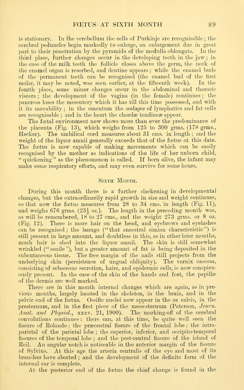 is stationary. In the cerebellum the cells of Purkinje are recognisable; the cerebral peduncles begin markedly to enlarge, an enlargement due in great part to their penetration by the pyramids of the medulla oblongata. In the third place, further changes occur in the developing teeth in the jaw; in the case of the milk teeth the follicle closes above the germ, the neck of the enamel organ is resorbed, and dentine appears; while the enamel buds of the permanent teeth can be recognised (the enamel bud of the first molar, it may be noted, was seen earlier, at the fifteenth week). In the fourth place, some minor changes occur in the abdominal and thoracic viscera; the development of the vagina (in the female) continues; the pancreas loses the mesentery which it has till this time possessed, and with it its movability; in the omentum the anlages of lymphatics and fat cells are recognisable ; and in the heart the chordae tendinese appear. The foetal environment now shows more than ever the predominance of the placenta (Fig. 13), which weighs from 125 to 300 grms. (178 grms., Hecker). The umbilical cord measures about 31 cms. in length; and the weight of the liquor amnii generally exceeds that of the foetus at this date. The foetus is now capable of making movements which can be easily recognised by the mother as indications of the life of her unborn child,  quickening  as the phenomenon is called. If born alive, the infant may make some respiratory efforts, and may even survive for some hours. Sixth Month. During this month there is a further slackening in developmental changes, but the extraordinarily rapid growth in size and weight continues, so that now the foetus measures from 28 to 34 cms. in length (Fig. 11), and weighs 676 grms. (23^ oz.). The length in the preceding month was, as will be remembered, 18 to 27 cms., and the weight 273 grms. or 8 oz. (Fig. 12). There is more hair on the head, and eyebrows and eyelashes can be recognised; the lanugo (that ancestral simian characteristic) is still present in large amount, and doubtless in this, as in other later months, much hair is shed into the liquor amnii. The skin is still somewhat wrinkled ( senile''), but a greater amount of fat is being deposited in the subcutaneous tissue. The free margin of the nails still projects from the underlying skin (persistence of ungual obliquity). The vernix caseosa, consisting of sebaceous secretion, hairs, and epidermic cells, is now conspicu- ously present. In the case of the skin of the hands and feet, the papillae of the dermis are well marked. There are in this month internal changes which are again, as in pre- vious months, largely located in the skeleton, in the brain, and in the pelvic end of the foetus. Ossific nuclei now appear in the os calcis, in the presternum, and in the first piece of the meso-sternum (Paterson, Journ. Anat. and Physiol., xxxv. 21, 1900). The marking-off of the cerebral convolutions continues : there can, at this time, be quite well seen the fissure of Rolando; the praecentral fissure of the frontal lobe; the intra- parietal of the parietal lobe ; the superior, inferior, and occipito-temporal fissures of the temporal lobe; and the post-central fissure of the island of Eeil. An angular notch is noticeable in the anterior margin of the fissure of Sylvius. At this age the arteria centralis of the eye and most of its branches have aborted; and the development of the definite form of the internal ear is complete. At the posterior end of the foetus the chief change is found in the