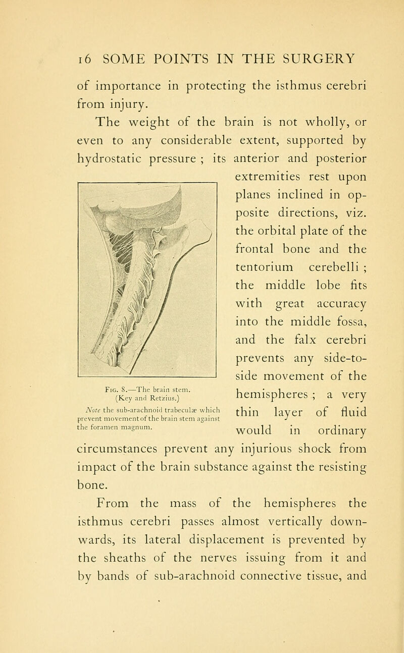 of importance in protecting the isthmus cerebri from injury. The weight of the brain is not wholly, or even to any considerable extent, supported by hydrostatic pressure ; its anterior and posterior extremities rest upon planes inclined in op- posite directions, viz. the orbital plate of the frontal bone and the tentorium cerebelli ; the middle lobe fits with great accuracy into the middle fossa, and the falx cerebri prevents any side-to- side movement of the hemispheres ; a very thin layer of fluid would in ordinary circumstances prevent any injurious shock from impact of the brain substance against the resisting bone. From the mass of the hemispheres the isthmus cerebri passes almost vertically down- wards, its lateral displacement is prevented by the sheaths of the nerves issuing from it and by bands of sub-arachnoid connective tissue, and Fig. 8.—The brain stem. (Key and Retzius.) Note the sub-arachnoid trabeculae which prevent movementof the brain stem against the foramen magnum.
