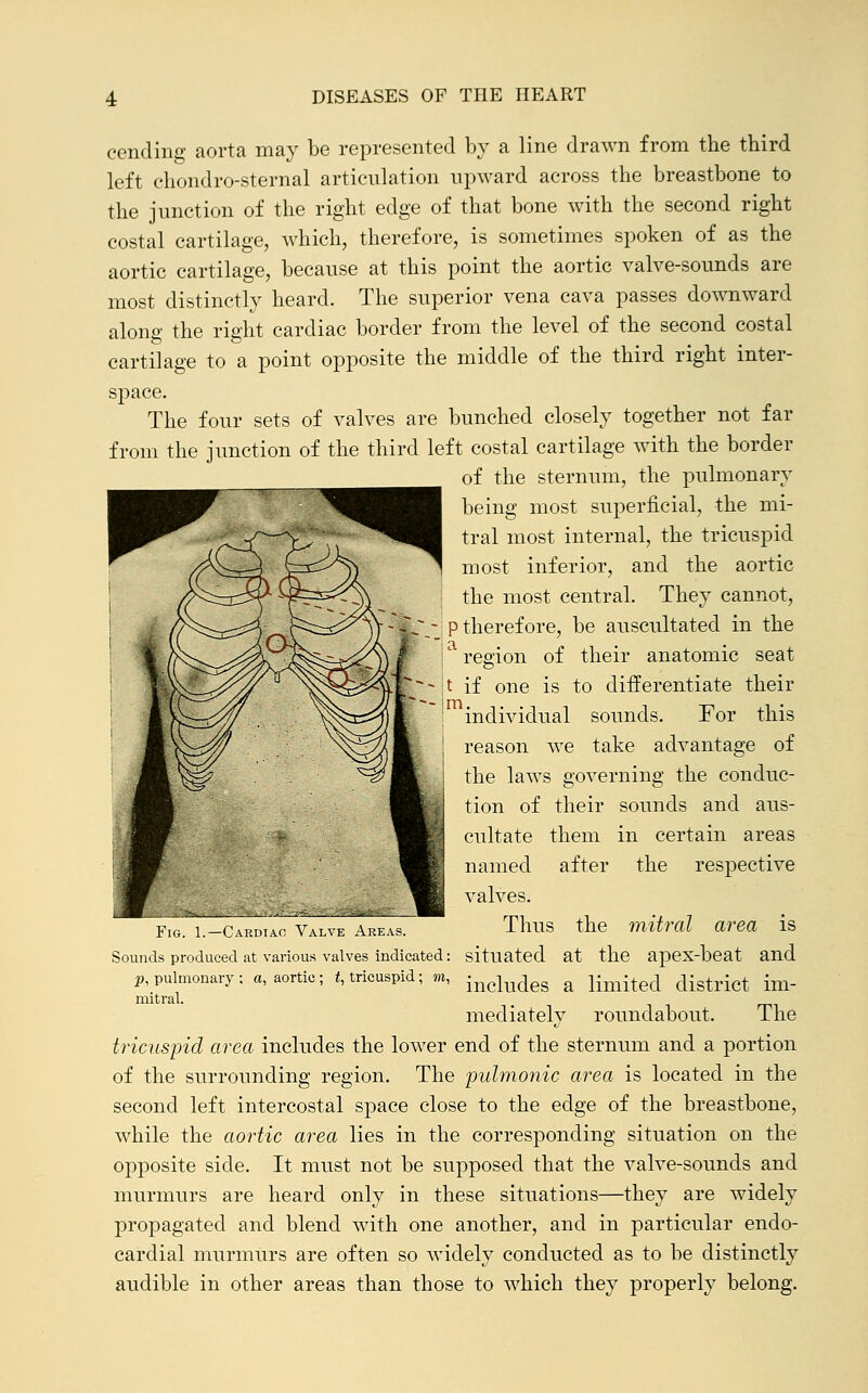 cending aorta may be represented by a line drawn from the third left chondro-sternal articulation upward across the breastbone to the junction of the right edge of that bone with the second right costal cartilage, which, therefore, is sometimes spoken of as the aortic cartilage, because at this point the aortic valve-sounds are most distinctly heard. The superior vena cava passes downward along the right cardiac border from the level of the second costal cartilage to a point opposite the middle of the third right inter- space. The four sets of valves are bunched closely together not far from the junction of the third left costal cartilage with the border of the sternum, the pulmonary being most superficial, the mi- tral most internal, the tricuspid most inferior, and the aortic the most central. They cannot, tV P therefore, be auscultated in the region of their anatomic seat •'-11 if one is to differentiate their individual sounds. For this reason we take advantage of the laws governing the conduc- tion of their sounds and aus- certain areas them after in the respective Fig. 1.—Cardiac Valve Areas. Sounds produced at various valves indicated: p, pulmonary : a, aortic; t, tricuspid; m, mitral. curtate named valves. Thus the mitral area is situated at the apex-beat and includes a limited district im- mediately roundabout. The tricuspid area includes the lower end of the sternum and a portion of the surrounding region. The pulmonic area is located in the second left intercostal space close to the edge of the breastbone, while the aortic area lies in the corresponding situation on the opposite side. It must not be supposed that the valve-sounds and murmurs are heard only in these situations—they are widely propagated and blend with one another, and in particular endo- cardial murmurs are often so widely conducted as to be distinctly audible in other areas than those to which they properly belong.