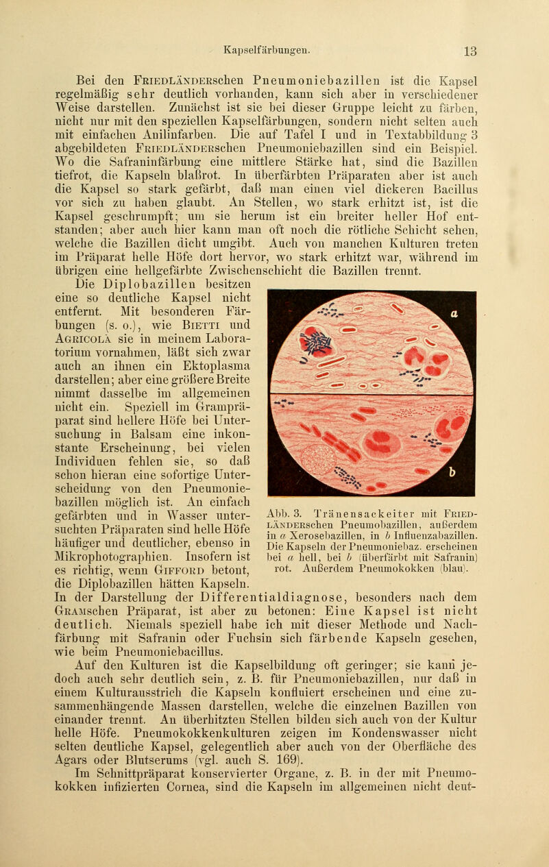 Bei den FRiEDLÄNDERschen Pneumoniebazillen ist die Kapsel regelmäßig sehr deutlich vorhanden, kann sich aber in verschiedener Weise darstellen. Zunächst ist sie bei dieser Gruppe leicht zu färben, nicht nur mit den speziellen Kapselfärbungen, sondern nicht selten auch mit einfachen Anilinfarben. Die auf Tafel I und in Textabbildung 3 abgebildeten FEiEDLÄNDERSchen Pneumoniebazillen sind ein Beispiel. Wo die Safraninfärbung eine mittlere Stärke hat, sind die Bazillen tiefrot, die Kapseln blaßrot. In überfärbten Präparaten aber ist auch die Kapsel so stark gefärbt, daß man einen viel dickeren Bacillus vor sich zu haben glaubt. An Stellen, wo stark erhitzt ist, ist die Kapsel geschrumpft; um sie herum ist ein breiter heller Hof ent- standen; aber auch hier kann man oft noch die rötliche Schicht sehen, welche die Bazillen dicht umgibt. Auch von manchen Kulturen treten im Präparat helle Höfe dort hervor, wo stark erhitzt war, während im übrigen eine hellgefärbte Zwischenschicht die Bazillen trennt. Die Diplobazillen besitzen eine so deutliche Kapsel nicht entfernt. Mit besonderen Fär- bungen (s. o.), wie Bietti und Agricolä sie in meinem Labora- torium vornahmen, läßt sich zwar auch an ihnen ein Ektoplasma darstellen; aber eine größere Breite nimmt dasselbe im allgemeinen nicht ein. Speziell im Gramprä- parat sind hellere Höfe bei Unter- suchung in Balsam eine inkon- stante Erscheinung, bei vielen Individuen fehlen sie, so daß schon hieran eine sofortige Unter- scheidung von den Pneumonie- bazillen möglich ist. An einfach gefärbten und in Wasser unter- Abb. 3. Tränensackeiter mit Fried- LÄNDERschen Pneumobazillen, außerdem in a Xerosebazillen, in b Influenzabazillen. Die Kapseln der Pneumoniebaz. erscheinen bei « bell, bei b (überfärbt mit Safranin) rot. Außerdem Pneumokokken (blau). suchten Präparaten sind helle Höfe häufiger und deutlicher, ebenso in Mikrophotographien. Insofern ist es richtig, wenn Gifford betont, die Diplobazillen hätten Kapseln. In der Darstellung der Differentialdiagnose, besonders nach dem GRAMschen Präparat, ist aber zu betonen: Eine Kapsel ist nicht deutlich. Niemals speziell habe ich mit dieser Methode und Nach- färbung mit Safranin oder Fuchsin sich färbende Kapseln gesehen, wie beim Pneumoniebacillus. Auf den Kulturen ist die Kapselbildung oft geringer; sie kann je- doch auch sehr deutlich sein, z. B. für Pneumoniebazillen, nur daß in einem Kulturausstrich die Kapseln konfluiert erscheinen und eine zu- sammenhängende Massen darstellen, welche die einzelnen Bazillen von einander trennt. An überhitzten Stellen bilden sich auch von der Kultur helle Höfe. Pneumokokkenkulturen zeigen im Kondenswasser nicht selten deutliche Kapsel, gelegentlich aber auch von der Oberfläche des Agars oder Blutserums (vgl. auch S. 169). Im Schnittpräparat konservierter Organe, z. B. in der mit Pneumo- kokken infizierten Cornea, sind die Kapseln im allgemeinen nicht deut-