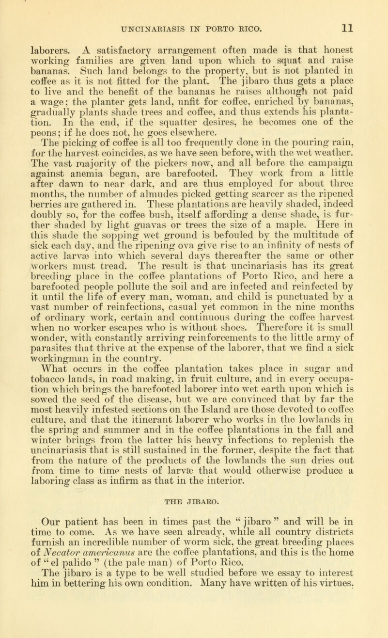 laborers. A satisfactory arrangement often made is that honest working families are given land upon which to squat and raise bananas. Such land belongs to the property, but is not planted in coffee as it is not fitted for the plant. The jibaro thus gets a place to live and the benefit of the bananas he raises although not paid a wage; the planter gets land, unfit for coffee, enriched by bananas, gradually plants shade trees and coffee, and thus extends his planta- tion. In the end, if the squatter desires, he becomes one of the peons; if he does not, he goes elsewhere. The picking of coffee is all too frequently done in the pouring rain, for the harvest coincides, as we have seen before, with the wet weather. The vast majority of the pickers now, and all before the campaign against anemia began, are barefooted. They work from a little after dawn to near dark, and are thus employed for about three months, the number of almudes picked getting scarcer as the ripened berries are gathered in. These plantations are heavily shaded, indeed doubly so, for the coffee bush, itself affording a dense shade, is fur- ther shaded by light guavas or trees the size of a maple. Here in this shade the sopping wet ground is befouled by the multitude of sick each day, and the ripening ova give rise to an infinity of nests of active larva? into which several days thereafter the same or other workers must tread. The result is that uncinariasis has its great breeding place in the coffee plantations of Porto Rico, and here a barefooted people pollute the soil and are infected and reinfected by it until the life of every man, woman, and child is punctuated by a vast number of reinfections, casual yet common in the nine months of ordinary work, certain and continuous during the coffee harvest when no worker escapes who is without shoes. Therefore it is small wonder, with constantly arriving reinforcements to the little army of parasites that thrive at the expense of the laborer, that we find a sick workingman in the country. What occurs in the coffee plantation takes place in sugar and tobacco lands, in road making, in fruit culture, and in every occupa- tion which brings the barefooted laborer into wet earth upon which is sowed the seed of the disease, but we are convinced that by far the most heavily infested sections on the Island are those devoted to coffee culture, and that the itinerant laborer who works in the lowlands in the spring and summer and in the coffee plantations in the fall and winter brings from the latter his heavy infections to replenish the uncinariasis that is still sustained in the former, despite the fact that from the nature of the products of the lowlands the sun dries out from time to time nests of larva? that would otherwise produce a laboring class as infirm as that in the interior. THE JIBARO. Our patient has been in times past the  jibaro  and will be in time to come. As we have seen already, while all country districts furnish an incredible number of worm sick, the great breeding places of Necator americanus are the coffee plantations, and this is the home of el palido  (the pale man) of Porto Rico. The jibaro is a type to be well studied before we essay to interest him in bettering his own condition. Many have written of his virtues.