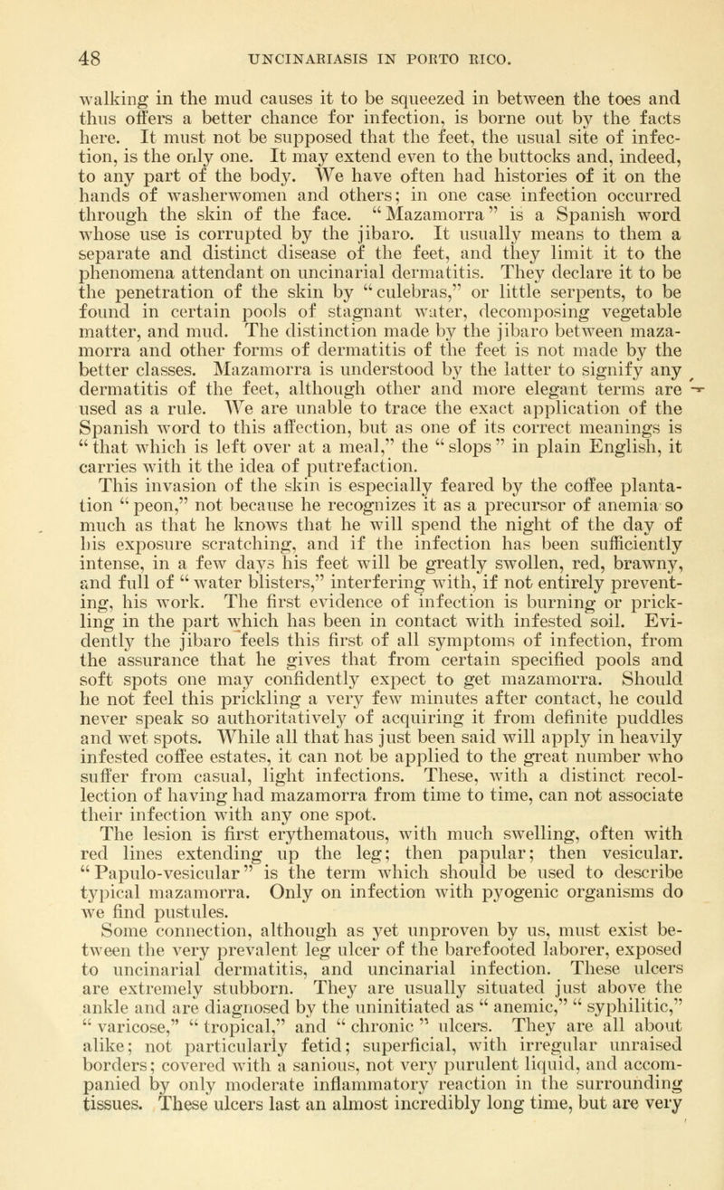 walking in the mud causes it to be squeezed in between the toes and thus offers a better chance for infection, is borne out by the facts here. It must not be supposed that the feet, the usual site of infec- tion, is the only one. It may extend even to the buttocks and, indeed, to any part of the body. We have often had histories of it on the hands of washerwomen and others; in one case infection occurred through the skin of the face. Mazamorra is a Spanish word whose use is corrupted by the jibaro. It usually means to them a separate and distinct disease of the feet, and they limit it to the phenomena attendant on uncinarial dermatitis. They declare it to be the penetration of the skin by culebras, or little serpents, to be found in certain pools of stagnant water, decomposing vegetable matter, and mud. The distinction made by the jibaro between maza- morra and other forms of dermatitis of the feet is not made by the better classes. Mazamorra is understood by the latter to signify any dermatitis of the feet, although other and more elegant terms are '-■ used as a rule. We are unable to trace the exact application of the Spanish word to this affection, but as one of its correct meanings is  that which is left over at a meal, the  slops  in plain English, it carries with it the idea of putrefaction. This invasion of the skin is especially feared by the coffee planta- tion  peon, not because he recognizes it as a precursor of anemia so much as that he knows that he will spend the night of the day of his exposure scratching, and if the infection has been sufficiently intense, in a few days his feet will be greatly swollen, red, brawny, and full of  water blisters, interfering with, if not entirely prevent- ing, his work. The first evidence of infection is burning or prick- ling in the part which has been in contact with infested soil. Evi- dently the jibaro feels this first of all symptoms of infection, from the assurance that he gives that from certain specified pools and soft spots one may confidently expect to get mazamorra. Should he not feel this prickling a very few minutes after contact, he could never speak so authoritatively of acquiring it from definite puddles and wet spots. While all that has just been said will apply in heavily infested coffee estates, it can not be applied to the great number who suffer from casual, light infections. These, with a distinct recol- lection of having had mazamorra from time to time, can not associate their infection with any one spot. The lesion is first erythematous, with much swelling, often with red lines extending up the leg; then papular; then vesicular.  Papulo-vesicular is the term which should be used to describe typical mazamorra. Only on infection with pyogenic organisms do we find pustules. Some connection, although as yet unproven by us, must exist be- tween the very prevalent leg ulcer of the barefooted laborer, exposed to uncinarial dermatitis, and uncinarial infection. These ulcers are extremely stubborn. They are usually situated just above the ankle and are diagnosed by the uninitiated as  anemic,  syphilitic,  varicose,  tropical, and  chronic  ulcers. They are all about alike; not particularly fetid; superficial, with irregular unraised borders; covered wTith a sanious, not very purulent liquid, and accom- panied by only moderate inflammatory reaction in the surrounding tissues. These ulcers last an almost incredibly long time, but are very