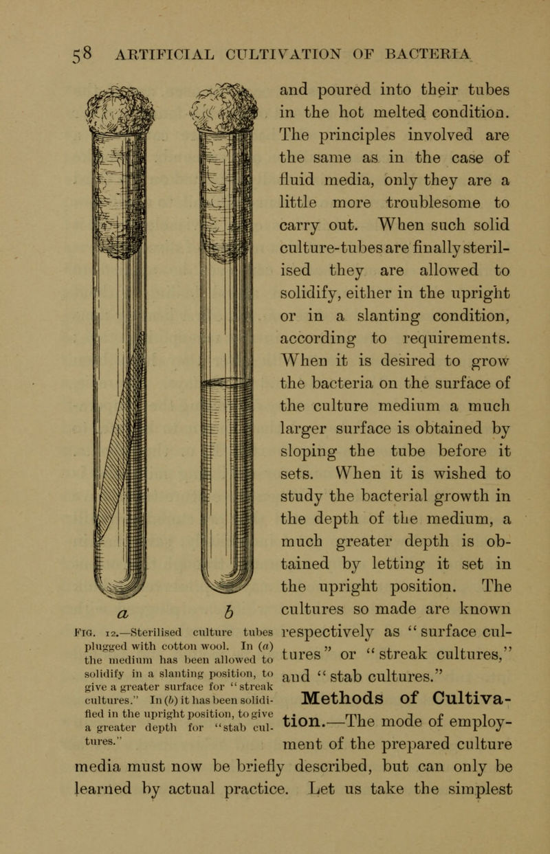 and poured into their tubes in the hot melted condition. The principles involved are -^WM ■ l^l-Uffli ^^^ same as in the case of fluid media, only they are a little more troublesome to ^^Uffll ^L-¥^M carry out. When such solid culture-tubes are finally steril- ised they are allowed to solidify, either in the upright or in a slanting condition, according to requirements. When it is desired to grow the bacteria on the surface of the culture medium a much larger surface is obtained by sloping the tube before it sets. When it is wished to study the bacterial growth in the depth of the medium, a much greater depth is ob- tained by letting it set in the upright position. The ^ 5 cultures so made are known Fig. 12.—Sterilised culture tubes respectively as '^ surface cul- plu-ed with cotton wool. In («) .5. ^* QtrPlV cnltnrp^  the medium has been allowed to LUies Ol febJedK CUlLLlieb, solidify in a slanting position, to r^^^^ i^ gj^^b CulturCS. give a gi-eater surface for streak cultures. In(^) it hasbeen solidi- MethodS Of Cultlva- fled in the upright position, to give j*^^ rni J £ i a greater depth for stab cul- tlOIl.—The modc of employ- ^^■^s ment of the prepared culture media must now be briefly described, but can only be learned by actual practice. Let us take the simplest