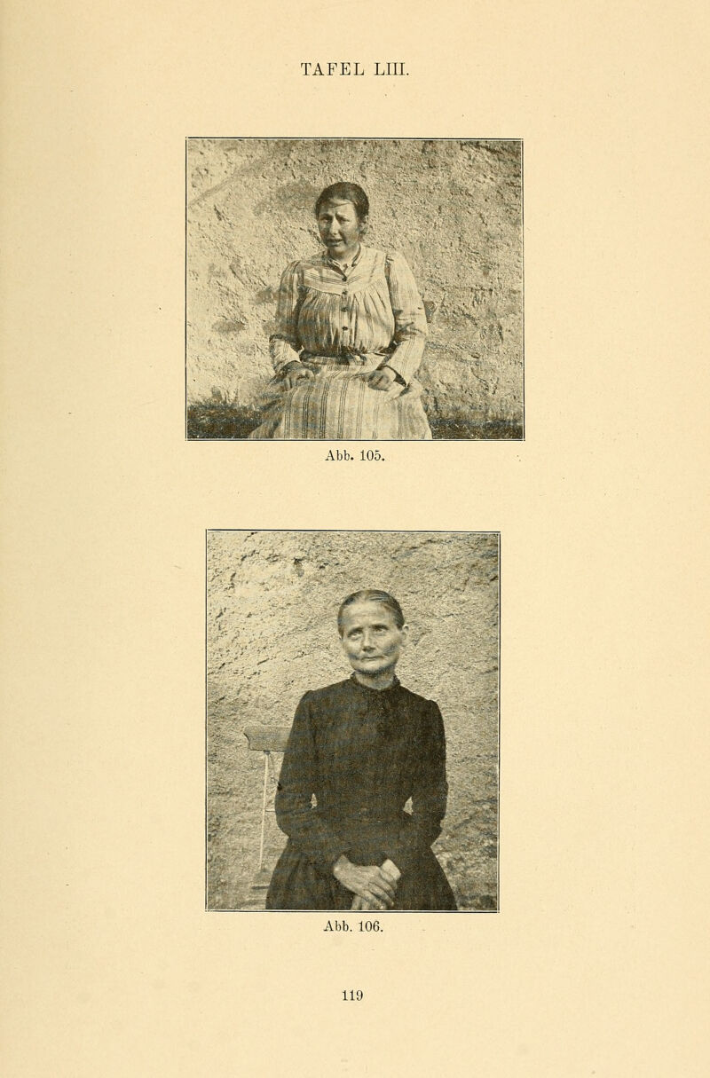 Abb. 105. ■■■ • . 3f if' ■■-■ gfiSHaHK . ir .. . Abb. 106.