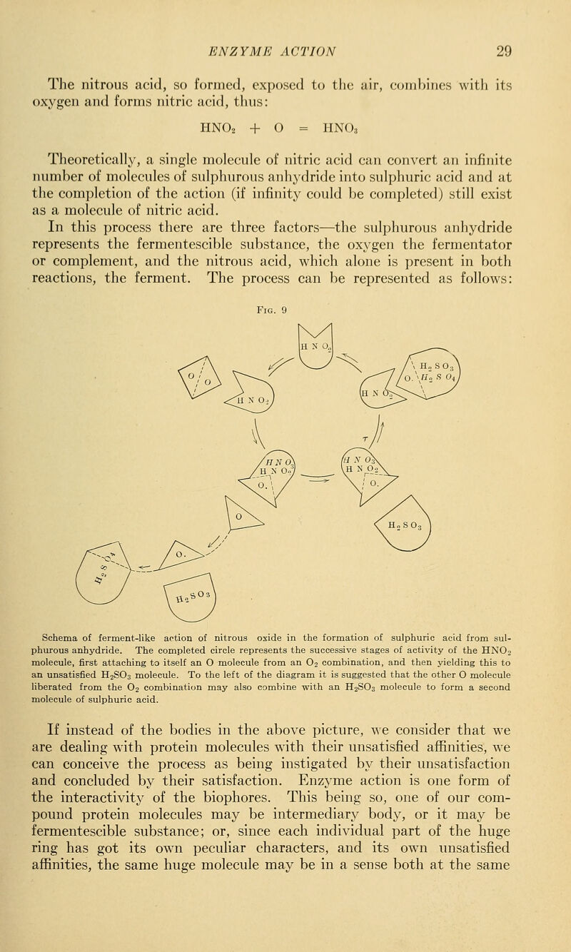 The nitrous acid, so formed, exposed to the air, combines with its oxygen and forms nitric acid, thus: HNO2 + O HNO3 Theoretically, a single molecule of nitric acid can convert an infinite number of molecules of sulphurous anhydride into sulphuric acid and at the completion of the action (if infinity could be completed) still exist as a molecule of nitric acid. In this process there are three factors—the sulphurous anhydride represents the fermentescible substance, the oxygen the fermentator or complement, and the nitrous acid, which alone is present in both reactions, the ferment. The process can be represented as follows: Fig. 9 Schema of ferment-like action of nitrous oxide in the formation of sulphuric acid from sul- phurous anhydride. The completed circle represents the successive stages of activity of the HNO2 molecule, first attaching to itself an O molecule from an O2 combination, and then yielding this to an unsatisfied H2SO3 molecule. To the left of the diagram it is suggested that the other O molecule liberated from the O2 combination may also combine with an H2SO3 molecule to form a second molecule of sulphuric acid. If instead of the bodies in the above picture, we consider that we are dealing with protein molecules with their unsatisfied affinities, we can conceive the process as being instigated by their unsatisfaction and concluded by their satisfaction. Enzyme action is one form of the interactivity of the biophores. This being so, one of our com- pound protein molecules may be intermediary body, or it may be fermentescible substance; or, since each individual part of the huge ring has got its own peculiar characters, and its own unsatisfied affinities, the same huge molecule may be in a sense both at the same