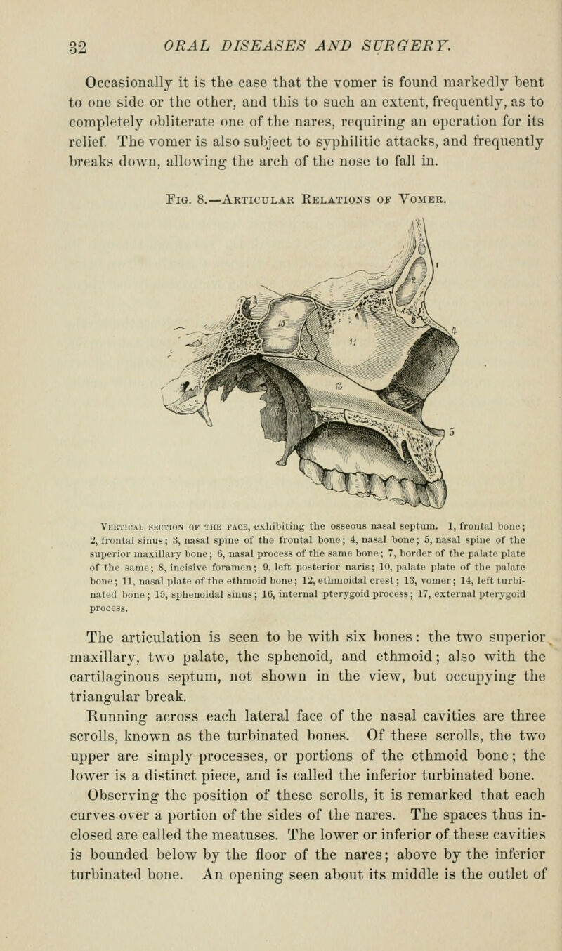 Occasionally it is the case that the vomer is found markedly bent to one side or the other, and this to such an extent, frequently, as to completely obliterate one of the nares, requiring an operation for its relief. The vomer is also subject to syphilitic attacks, and frequently breaks down, allowing the arch of the nose to fall in. Fig. 8.—Articular Kelations of Vomer. J Vertical section of the face, exhibiting the osseous nasal septum. 1, frontal bone; 2, frontal sinus; 3, nasal spine of the frontal bone; 4, nasal bone; 5, nasal spine of the superior maxillary bone; 6, nasal process of the same bone; 7, border of the palate plate of the same; 8, incisive foramen; 9, left posterior naris; 10, palate plate of the palate bone; 11, nasal plate of the ethmoid bone; 12, ethmoidal crest; 13, vomer; 14, left turbi- nated bone ; 15, sphenoidal sinus ; 16, internal pterygoid process ; 17, external pterygoid process. The articulation is seen to be with six bones: the two superior maxillary, two palate, the sphenoid, and ethmoid; also with the cartilaginous septum, not shown in the view, but occupying the triangular break. Running across each lateral face of the nasal cavities are three scrolls, known as the turbinated bones. Of these scrolls, the two upper are simply processes, or portions of the ethmoid bone; the lower is a distinct piece, and is called the inferior turbinated bone. Observing the position of these scrolls, it is remarked that each curves over a portion of the sides of the nares. The spaces thus in- closed are called the meatuses. The lower or inferior of these cavities is bounded below by the floor of the nares; above by the inferior turbinated bone. An opening seen about its middle is the outlet of