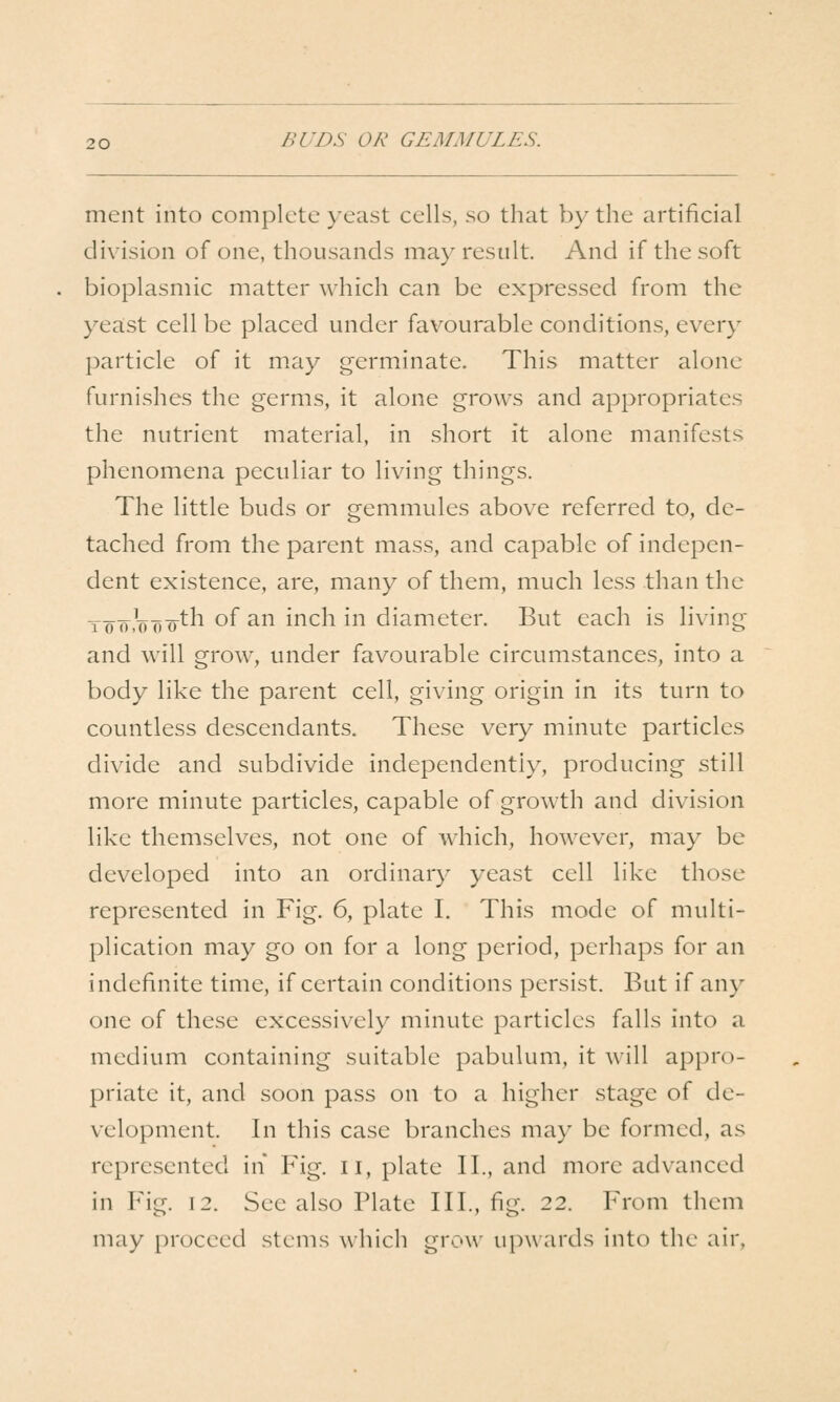 ment into complete yeast cells, so that by the artificial division of one, thousands may result. And if the soft bioplasmic matter which can be expressed from the yeast cell be placed under favourable conditions, every particle of it may germinate. This matter alone furnishes the germs, it alone grows and appropriates the nutrient material, in short it alone manifests phenomena peculiar to living things. The little buds or gemmules above referred to, de- tached from the parent mass, and capable of indepen- dent existence, are, many of them, much less than the tott'ooo-th of an inch in diameter. But each is living and will grow, under favourable circumstances, into a body like the parent cell, giving origin in its turn to countless descendants. These very minute particles divide and subdivide independently, producing still more minute particles, capable of growth and division like themselves, not one of which, however, may be developed into an ordinary yeast cell like those represented in Fig. 6, plate I. This mode of multi- plication may go on for a long period, perhaps for an indefinite time, if certain conditions persist. But if any one of these excessively minute particles falls into a medium containing suitable pabulum, it will appro- priate it, and soon pass on to a higher stage of de- velopment. In this case branches may be formed, as represented in Fig. ii, plate II., and more advanced in Fig. 12. See also Plate III., fig. 22. From them may proceed stems which grow upwards into the air.