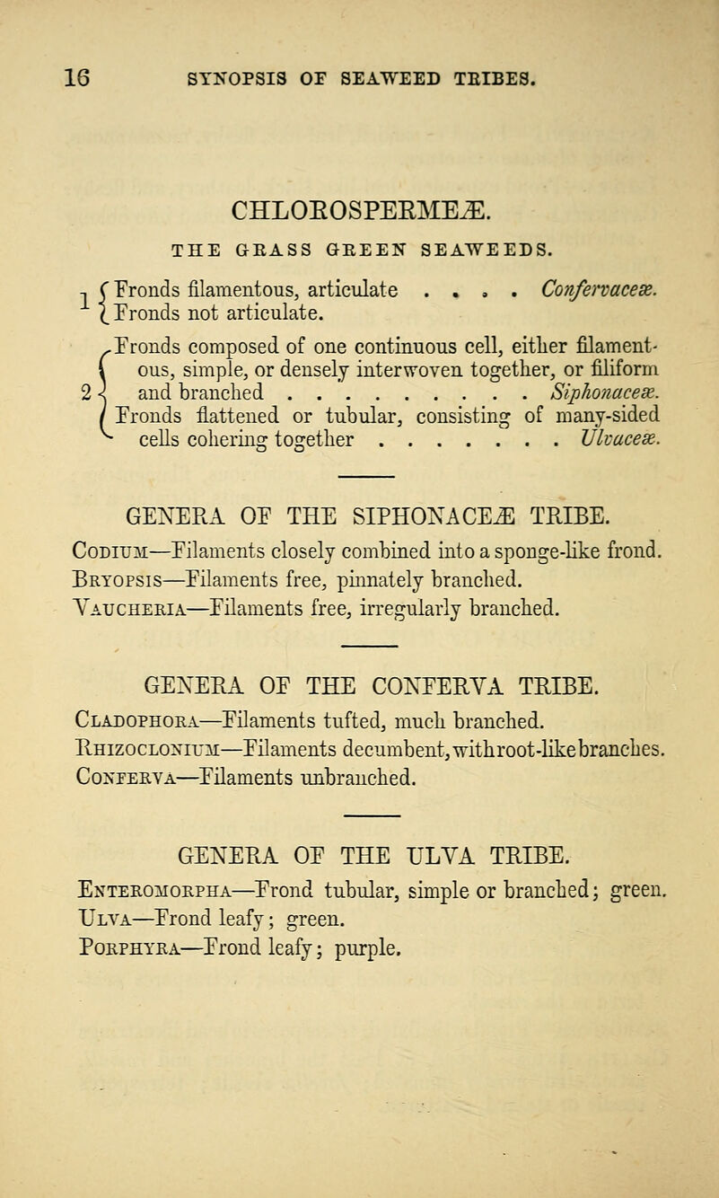 CHLOROSPERMME. THE GEASS GEEEN SEAWEEDS. -, C Fronds filamentous, articulate . . , . Confervacex. ^Eronds not articulate. ^Fronds composed of one continuous cell, either filament- i ous, simple, or densely interwoven together, or filiform 2 < and branched Siphonacese. I Fronds flattened or tubular, consisting of many-sided ^ cells cohering together Ukacese. GENERA OE THE SIPHON A CE.E TRIBE. Codium—Eilaments closely combined into a sponge-like frond. Bryopsis—Eilaments free, pinnately branched. Vaucheria—Eilaments free, irregularly branched. GENERA OE THE CONFERVA TRIBE. Cladophoea—Eilaments tufted, much branched. Rhizoclonium—Eilaments decumbent, withroot-likebranches. Conferva—Eilaments unbranched. GENERA OE THE ULYA TRIBE. Enteromorpha—Erond tubular, simple or branched; green. Ulva—Erond leafy; green. Porphyra—Erond leafy; purple.