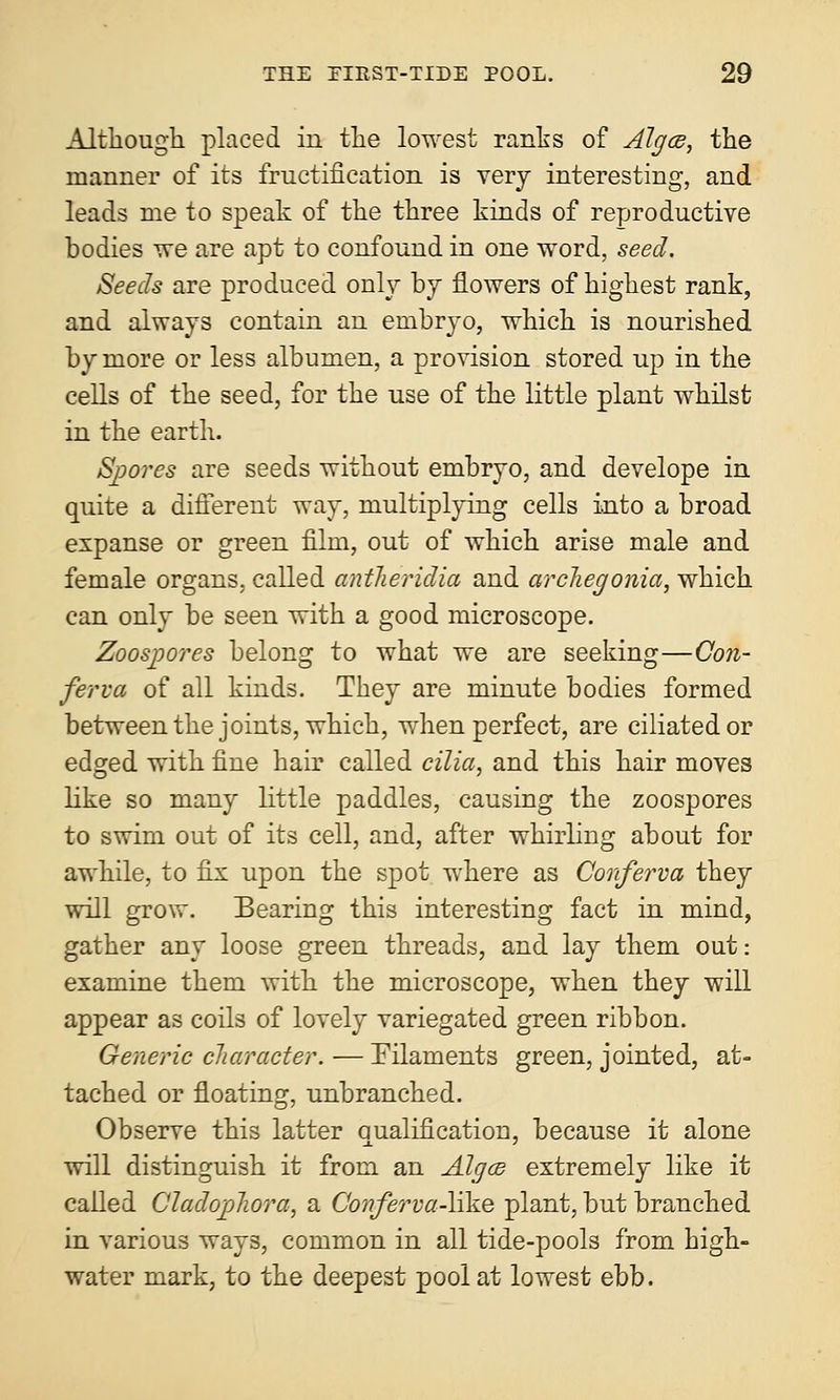 Although placed in the lowest ranks of Alga, the manner of its fructification is very interesting, and leads me to speak of the three kinds of reproductive bodies we are apt to confound in one word, seed. Seeds are produced only by flowers of highest rank, and always contain an embryo, which is nourished by more or less albumen, a provision stored up in the cells of the seed, for the use of the little plant whilst in the earth. Spores are seeds without embryo, and develope in quite a different way, multiplying cells into a broad expanse or green film, out of which arise male and female organs, called anikeridia and archegonia, which can only be seen with a good microscope. Zoospores belong to what we are seeking—Con- ferva of all kinds. They are minute bodies formed between the joints, which, when perfect, are ciliated or edged with fine hair called cilia, and this hair moves like so many little paddles, causing the zoospores to swim out of its cell, and, after whirling about for awhile, to fix upon the spot where as Conferva they will grow. Bearing this interesting fact in mind, gather any loose green threads, and lay them out: examine them with the microscope, when they will appear as coils of lovely variegated green ribbon. Generic diameter. — Filaments green, jointed, at- tached or floating, unbranched. Observe this latter Qualification, because it alone will distinguish it from an AlgcB extremely like it called Cladojplwra, a Conferva-\\\.Q plant, but branched in various ways, common in all tide-pools from high- water mark, to the deepest pool at lowest ebb.