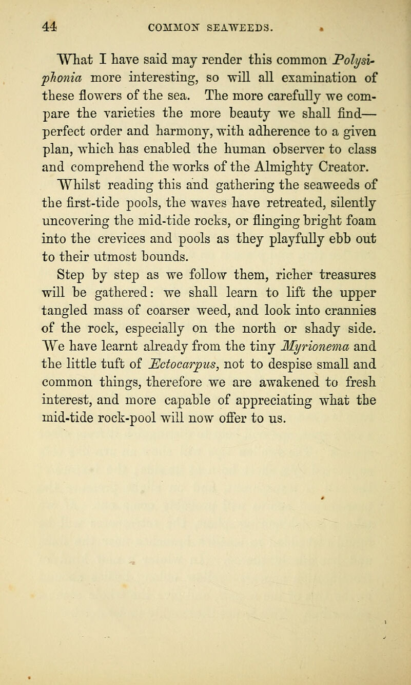 What I have said may render this common Polysi- phonia more interesting, so will all examination of these flowers of the sea. The more carefully we com- pare the varieties the more beauty we shall find— perfect order and harmony, with adherence to a given plan, which has enabled the human observer to class and comprehend the works of the Almighty Creator. Whilst reading this and gathering the seaweeds of the first-tide pools, the waves have retreated, silently uncovering the mid-tide rocks, or flinging bright foam into the crevices and pools as they playfully ebb out to their utmost bounds. Step by step as we follow them, richer treasures will be gathered: we shall learn to lift the upper tangled mass of coarser weed, and look into crannies of the rock, especially on the north or shady side. We have learnt already from the tiny Myrionema and the little tuft of JEctocarpus, not to despise small and common things, therefore we are awakened to fresh interest, and more capable of appreciating what the mid-tide rock-pool will now offer to us.