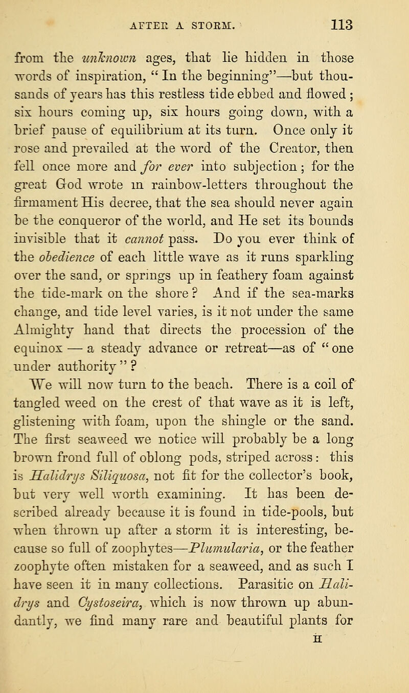 from the unknown ages, that lie hidden in those words of inspiration,  In the beginning—but thou- sands of years has this restless tide ebbed and flowed ; six hours coming up, six hours going down, with a brief pause of equilibrium at its turn. Once only it rose and prevailed at the word of the Creator, then fell once more and for ever into subjection; for the great God wrote in rainbow-letters throughout the firmament His decree, that the sea should never again be the conqueror of the world, and He set its bounds invisible that it cannot pass. Do you ever think of the obedience of each little wave as it runs sparkling over the sand, or springs up in feathery foam against the tide-mark on the shore ? And if the sea-marks change, and tide level varies, is it not under the same Almighty hand that directs the procession of the equinox — a steady advance or retreat—as of  one under authority  ? We will now turn to the beach. There is a coil of tangled weed on the crest of that wave as it is left, glistening with foam, upon the shingle or the sand. The first seaweed we notice will probably be a long brown frond full of oblong pods, striped across: this is Halidrys Siliquosa, not fit for the collector's book, but very well worth examining. It has been de- scribed already because it is found in tide-pools, but when thrown up after a storm it is interesting, be- cause so full of zoophytes—Phmularia, or the feather zoophyte often mistaken for a seaweed, and as such I have seen it in many collections. Parasitic on Hali- drys and Cystoseira, which is now thrown up abun- dantly, we find many rare and beautiful plants for H