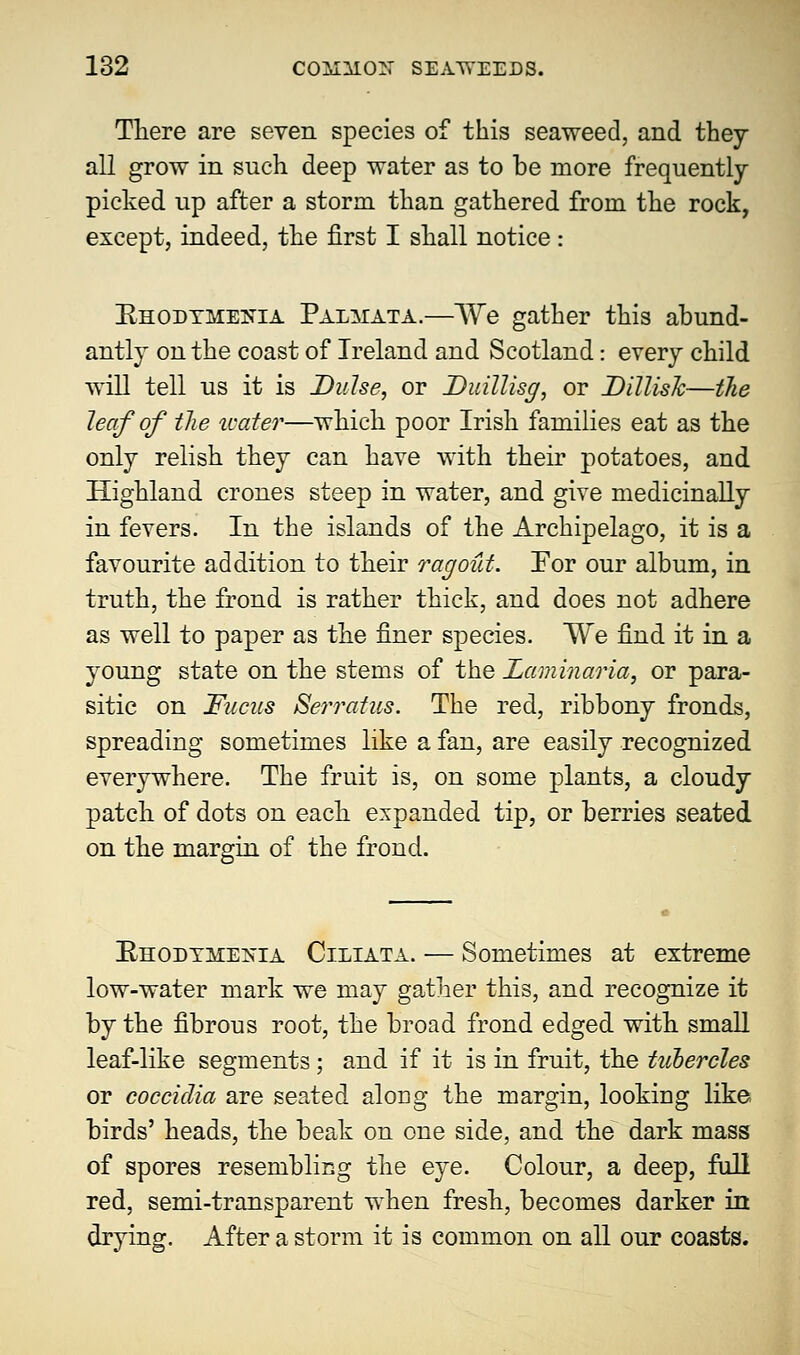 There are seven species of this seaweed, and they all grow in such deep water as to he more frequently- picked up after a storm than gathered from the rock, except, indeed, the first I shall notice : Rhodyme:nta Palmata.—We gather this abund- antly on the coast of Ireland and Scotland: every child will tell us it is Dulse, or Duillisg, or Dillisk—the leaf of the water—which poor Irish families eat as the only relish they can have with their potatoes, and Highland crones steep in water, and give medicinally in fevers. In the islands of the Archipelago, it is a favourite addition to their ragout. For our album, in truth, the frond is rather thick, and does not adhere as well to paper as the finer species. We find it in a young state on the stems of the Laminaria, or para- sitic on Fucas Serratus. The red, ribbony fronds, spreading sometimes like a fan, are easily recognized everywhere. The fruit is, on some plants, a cloudy patch of dots on each expanded tip, or berries seated on the margin of the frond. Rhodyme^ia Ciliata. — Sometimes at extreme low-water mark we may gather this, and recognize it by the fibrous root, the broad frond edged with small leaf-like segments ; and if it is in fruit, the tubercles or coccidia are seated along the margin, looking like birds' heads, the beak on one side, and the dark mass of spores resembling the eye. Colour, a deep, full red, semi-transparent when fresh, becomes darker in drying. After a storm it is common on all our coasts.