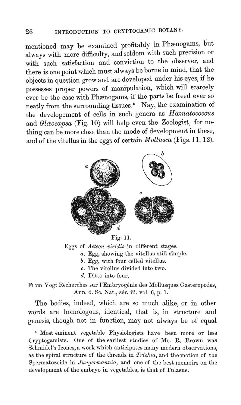 meutioned may be examined profitably in Phsenogams, but always with more difficulty, and seldom with such precision or with such satisfaction and conviction to the observer, and there is one point which must always be borne in mind, that the objects in question grow and are developed under his eyes, if he possesses proper powers of manipulation, which will scarcely ever be the case with Phaenogams, if the parts be freed ever so neatly from the surrounding tissues* Nay, the examination of the developement of cells in such genera as Hcematococcus and Glceocapsa (Fig. 10) will help even the Zoologist, for no- thing can be more close than the mode of development in these, and of the vitellus in the eggs of certain Mollusca (Figs. J1,12). Fig. 11. Eggs of Acteon viridis in different stages. a. Egg, showing the vitellus still simple. h. Egg, with four celled vitellus. c. The vitellus divided into two. d. Ditto into four. From Vogt Reoherchea sur I'Embryogfinie des MoUusques Gasteropodes, Ann. d. So. Nat., ser. iii. vol. 6, p. 1. The bodies, indeed, which are so much aUke, or in other words are homologous, identical, that is, in structure and genesis, though not in function, may not always be of equal * Most eminent vegetable Physiologists have been more or less Cryptogamists. One of the earliest studies of Mr. E. Brown was Schmidel's Icones, a work which anticipates many modem observations, as the spiral structure of the threads in Trichia, and the motion of the Spermatozoids in Jungermannia, and one of the best memoirs on the development of the embryo in vegetables, is that of Tulasne.
