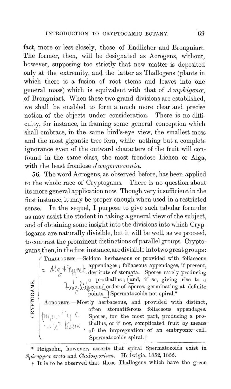fact, more or less closely, those of Endlicher and Brongniart. The former, then, will be designated as Acrogens, without, however, supposing too strictly that new matter is deposited only at the extremity, and the latter as Thallogens (plants in which there is a fusion of root stems and leaves into one general mass) which is equivalent with that of Amphigence, of Brongniart. When these two grand divisions are established, we shall be enabled to form a much more clear and precise notion of the objects under consideration. There is no diffi- culty, for instance, in framing some general conception which shall embrace, in the same bird's-eye view, the smallest moss and the most gigantic tree fern, while nothing but a complete ignorance even of the outward characters of the fruit will con- found in the same class, the most frondose Lichen or Alga, with the least frondose Jungermannia. 56. The word Acrogens, as observed before, has been applied to the whole race of Cryptogams. There is no question about its more general application now. Though very insufficient in the first instance, it may be proper enough when used in a restricted sense. In the sequel, I purpose to give such tabular formulae as may assist the student in taking a general view of the subject, and of obtaining some insight into the divisions into which Cryp- togams are naturally divisible, but it will be well, as we proceed, to contrast the prominent distinctions of parallel groups. Crypto- gams,then, in the first instance, are divisible intotwo great groups: / Thallogens.—Seldom herbaceous or provided with foliaceous . I , n I appendages; foliaceous appendages, if present, - ■'■^i^V I tW-^'., destitute of stomata. Spores rarely producing I a prothallus ; f^d, if so, giving rise to a, -rUU'? .awsecoiid order of spores, germinating at definite '• pointsTj Spermatozoids not spiral.* Acrogens.—Mostly herbaceous, and provided with distinct, often stomatiferoua foliaceous appendages. ItU,;->'' '-i *■ Spores, for the most part, producing a pro- '*! , f thallus, or if not, complicated fruit by means- of the impregnation of an embryonitr cell. V Spermatozoids spiral.f * Itzigsohn, however, asserts that spiral Spermatozoids exist in Spirogyra arcta and Cladosporium. Hedwigia, 1852, 1855. t It is to be observed that those Thallogens which have the green
