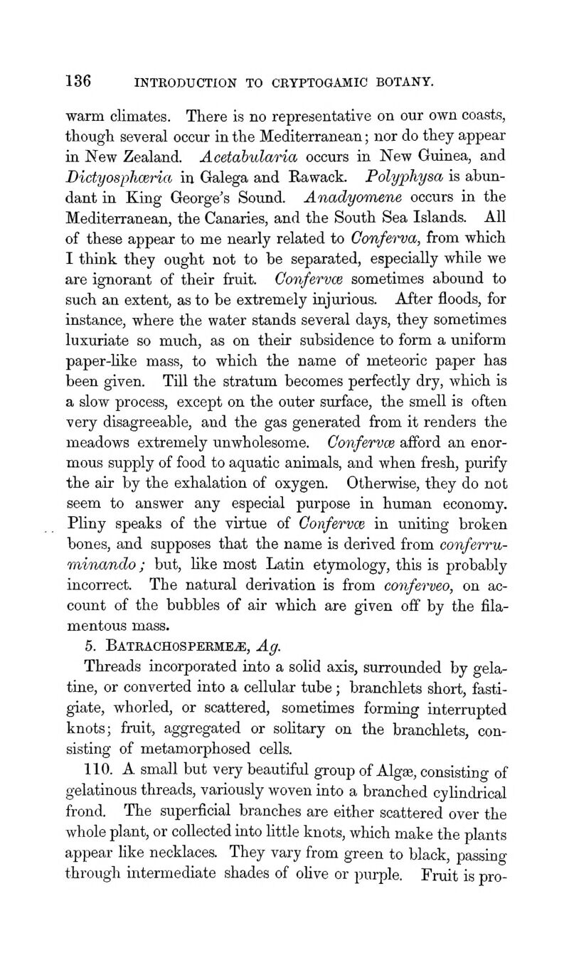 warm climates. There is no representative on our own coasts, though several occur in the Mediterranean; nor do they appear in New Zealand. Aeetabularia occurs in New Guinea, and Bictyosphceria in Galega and Kawack. Polyphysa is ahun- dant in King George's Sound. Anadyomene occurs in the Mediterranean, the Canaries, and the South Sea Islands. All of these appear to me nearly related to Conferva, from which I think they ought not to be separated, especially while we are ignorant of their fruit. Confervce sometimes abound to such an extent, as to be extremely injurious. After floods, for instance, where the water stands several days, they sometimes luxuriate so much, as on their subsidence to form a uniform paper-hke mass, to which the name of meteoric paper has been given. Till the stratum becomes perfectly dry, which is a slow process, except on the outer surface, the smell is often very disagreeable, and the gas generated from it renders the meadows extremely unwholesome. Confervce afford an enor- mous supply of food to aquatic animals, and when fresh, purify the air by the exhalation of oxygen. Otherwise, they do not seem to answer any especial purpose in human economy. Pliny speaks of the virtue of Confervce in uniting broken bones, and supposes that the name is derived from conferru- minando; but, like most Latin etymology, this is probably incorrect. The natural derivation is from conferveo, on ac- count of the bubbles of air which are given off by the fila- mentous mass. 5. Bateachospebme^, Ag. Threads incorporated into a solid axis, surrounded by gela- tine, or converted into a cellular tube; branchlets short, fasti- giate, whorled, or scattered, sometimes forming interrupted knots; fruit, aggregated or solitary on the branchlets, con- sisting of metamorphosed cells. 110. A small but very beautiful group of Algee, consisting of gelatinous threads, variously woven into a branched cylindrical frond. The superficial branches are either scattered over the whole plant, or collected into little knots, which make the plants appear like necklaces. They vary from green to black, passing through intermediate shades of oUve or purple. Fruit is pro-