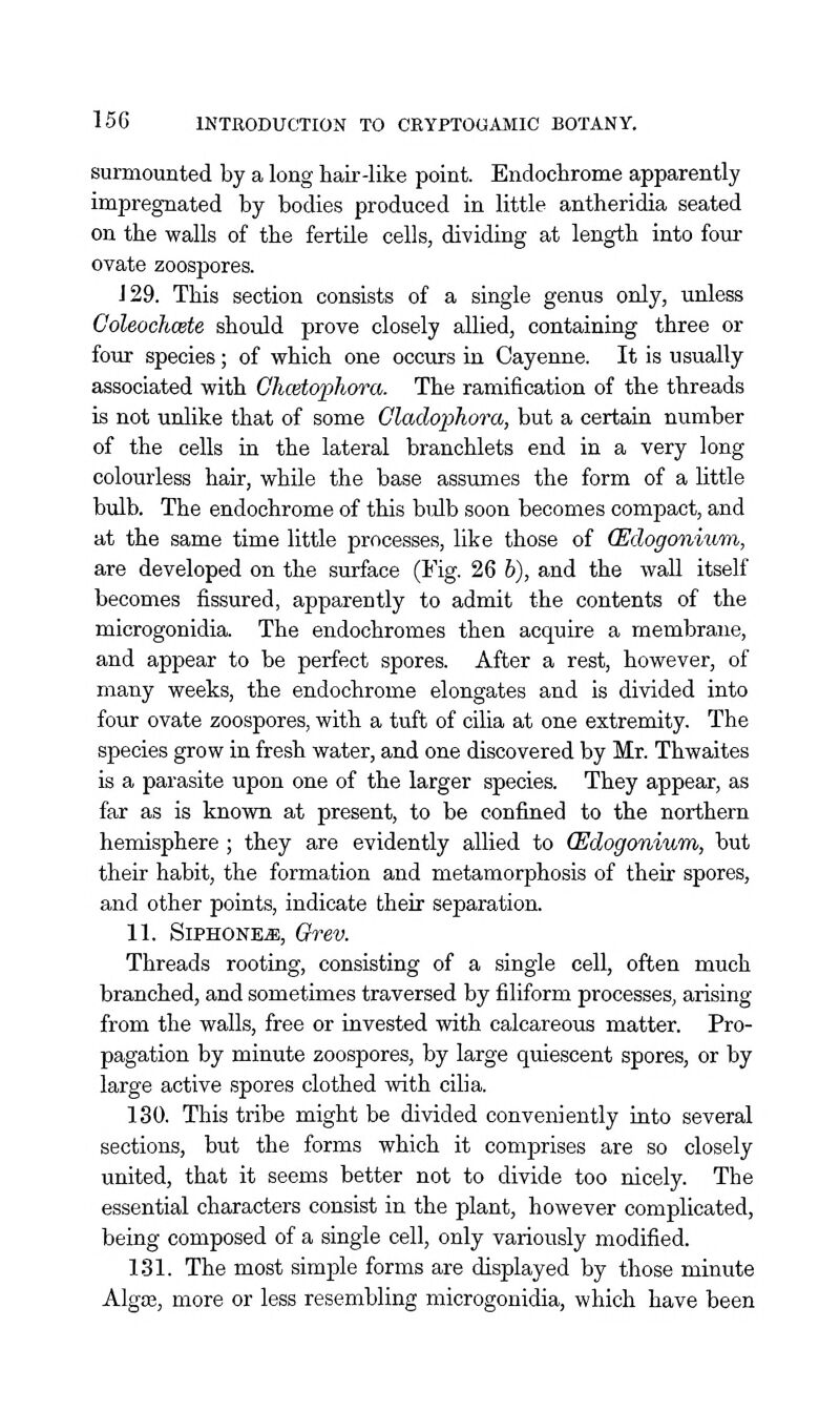 surmounted by a long hair-like point. Endochrome apparently impregnated by bodies produced in little antheridia seated on the walls of the fertile cells, dividing at length into four ovate zoospores. 129. This section consists of a single genus only, unless Coleochcete should prove closely allied, containing three or four species; of which one occurs in Cayenne. It is usually associated with Ohcetophora. The ramification of the threads is not unlike that of some Oladophora, but a certain number of the cells in the lateral branchlets end in a very long colourless hair, while the base assumes the form of a little bulb. The endochrome of this bulb soon becomes compact, and at the same time little processes, like those of CEclogonium, are developed on the surface (Fig. 26 6), and the wall itself becomes fissured, apparently to admit the contents of the microgonidia. The endochromes then acquire a membrane, and appear to be perfect spores. After a rest, however, of many weeks, the endochrome elongates and is divided into four ovate zoospores, with a tuft of cilia at one extremity. The species grow in fresh water, and one discovered by Mr. Thwaites is a parasite upon one of the larger species. They appear, as far as is known at present, to be confined to the northern hemisphere ; they are evidently allied to (Edogonium, but their habit, the formation and metamorphosis of their spores, and other points, indicate their separation. 11. SiPHONEJE, Grev. Threads rooting, consisting of a single cell, often much branched, and sometimes traversed by filiform processes, arising from the walls, free or invested with calcareous matter. Pro- pagation by minute zoospores, by large quiescent spores, or by large active spores clothed with cilia. ISO. This tribe might be divided conveniently into several sections, but the forms which it comprises are so closely united, that it seems better not to divide too nicely. The essential characters consist in the plant, however complicated, being composed of a single cell, only variously modified. 131. The most simple forms are displayed by those minute Alg03, more or less resembling microgonidia, which have been