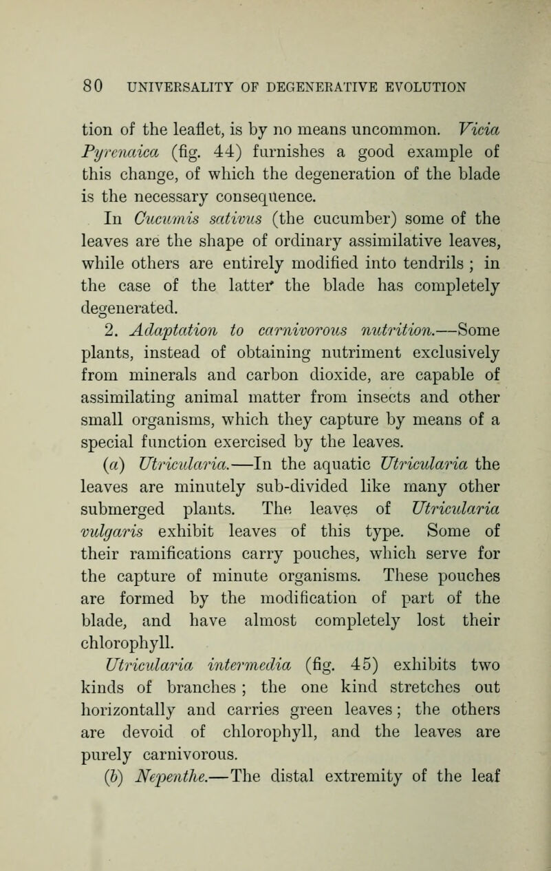 tion of the leaflet, is by no means uncommon. Vicia PyiTimica (fig. 44) furnishes a good example of this change, of which the degeneration of the blade is the necessary consequence. In Cucumis sativus (the cucumber) some of the leaves are the shape of ordinary assimilative leaves, while others are entirely modified into tendrils ; in the case of the latter* the blade has completely degenerated. 2. Adaptation to carnivorous nutrition.—Some plants, instead of obtaining nutriment exclusively from minerals and carbon dioxide, are capable of assimilating animal matter from insects and other small organisms, which they capture by means of a special function exercised by the leaves. (a) Utricularia.—In the aquatic Utricularia the leaves are minutely sub-divided like many other submerged plants. The leaves of Utricularia vulgaris exhibit leaves of this type. Some of their ramifications carry pouches, which serve for the capture of minute organisms. These pouches are formed by the modification of part of the blade, and have almost completely lost their chlorophyll. Utricularia intermedia (fig. 45) exhibits two kinds of branches ; the one kind stretches out horizontally and carries green leaves; the others are devoid of chlorophyll, and the leaves are purely carnivorous. (b) Nepenthe.—The distal extremity of the leaf