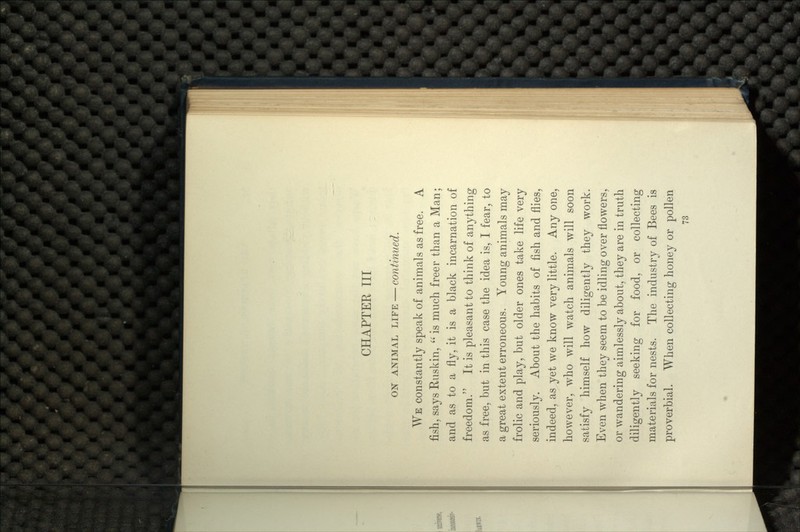 ON ANIMAL LIFE — continued. WE constantly speak of animals as free. A fish, says Ruskin,  is much freer than a Man; and as to a fly, it is a black incarnation of freedom. It is pleasant to think of anything as free, but in this case the idea is, I fear, to a great extent erroneous. Young animals may frolic and play, but older ones take life very seriously. About the habits of fish and flies, indeed, as yet we know very little. Any one, however, who will watch animals will soon satisfy himself how diligently they work. Even when they seem to be idling over flowers, or wandering aimlessly about, they are in truth diligently seeking for food, or collecting materials for nests. The industry of Bees is proverbial. When collecting honey or pollen