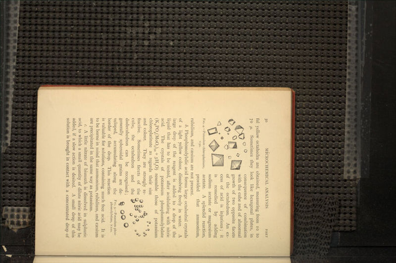 ful yellow octahedra are obtained, measuring from 10 to 70 fj.. Sometimes they look like hexagonal plates, in consequence of combination with the cube and of abnormal growth of two opposite facets of the octahedron. An ex- cess of acid is injurious ; it is remedied by adding sodium acetate or magnesium FIG. 4.— Potassium chioropiatinate, acetate. A splendid reaction, provided that ammonium, rubidium, and caesium are not present. b. Phosphomolybdic acid forms large octahedral crystals of a light yellow colour, dissolving freely in water. A large drop of the reagent is added to a drop of the liquid that has to be tested, after acidulating with nitric acid. The crystals of potassium phosphomolybdate (K3PO4(MoOa)10 + 3H2O) resemble those of potassium chioropiatinate as regards their size » ft ' * t « and colour. They are strongly re- <&& era fractive. Sometimes facets of the the octahedron and the dodecahedron can be recognised ; _ Q generally spheroidal grains are de- *g accumulating along the F|G- S-— Potassium phos- phomolybdate, X 120. border of the drop. This reaction is valuable for solutions, containing much free acid. It is to be borne in mind that ammonium, rubidium, and csesium are precipitated in the same way as potassium. c. A little nitrate of bismuth is dissolved in sulphuric acid, to which a small quantity of dilute nitric acid may be added, if a slow action is desired. A small drop of this solution is brought in contact with a concentrated drop of