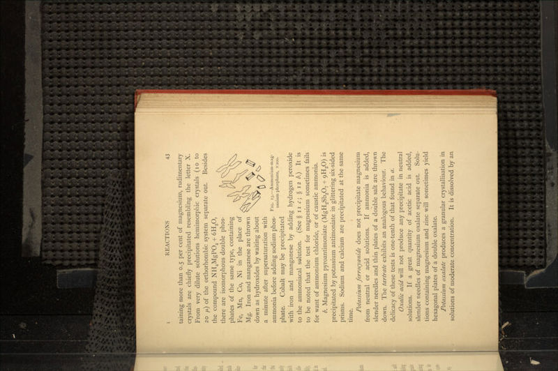taining more than 0.5 per cent of magnesium, rudimentary crystals are chiefly precipitated resembling the letter X. From very dilute solutions hemimorphic crystals (10 to 20 /A) of the orthorhombic system separate out. Besides the compound NH4MgPO4 + 6H2O, there are isomorphous double phos- phates of the same type, containing Fe, Mn, Co, Ni in the place of Mg. Iron and manganese are thrown down as hydroxides by waiting about a minute after supersaturation with ammonia before adding sodium phos- FlG- i3.-Ammonium-mag- nesium phosphate, X2oo. phate. Cobalt may be precipitated with iron and manganese by adding hydrogen peroxide to the ammoniacal solution. (See §iif;§i2£.) It is to be noted that the test for magnesium sometimes fails for want of ammonium chloride, or of caustic ammonia. b. Magnesium pyroantimoniate (MgH2Sb2O7 + 9H2O) is precipitated by potassium antimoniate in glittering six-sided prisms. Sodium and calcium are precipitated at the same time. Potassium ferrocyanide does not precipitate magnesium from neutral or acid solutions. If ammonia is added, slender needles and thin plates of a double salt are thrown down. The tartrate exhibits an analogous behaviour. The delicacy of these tests is one-tenth of that found in a. Oxalic acid will not produce any precipitate in neutral solutions. If a great quantity of acetic acid is added, slender needles of magnesium oxalate separate out. Solu- tions containing magnesium and zinc will sometimes yield hexagonal plates of a double oxalate. Potassium oxalate produces a granular crystallisation in solutions of moderate concentration. It is dissolved by an