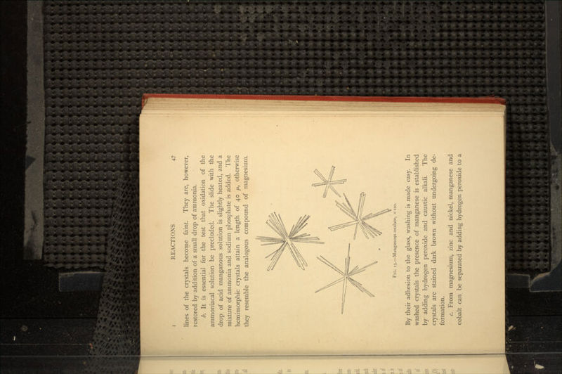 REACTIONS lines of the crystals become faint. They are, however, restored by addition of a small drop of ammonia. b. It is essential for the test that oxidation of the ammoniacal solution be precluded. The slide with the drop of acid manganous solution is slightly heated, and a mixture of ammonia and sodium phosphate is added. The hemimorphic crystals attain a length of 40 /*, otherwise they resemble the analogous compound of magnesium. FIG. 15.—Manganous oxalate, x 120. By their adhesion to the glass, washing is made easy. In washed crystals the presence of manganese is established by adding hydrogen peroxide and caustic alkali. The crystals are stained dark brown without undergoing de- formation. c. From magnesium, zinc and nickel, manganese and cobalt can be separated by adding hydrogen peroxide to a