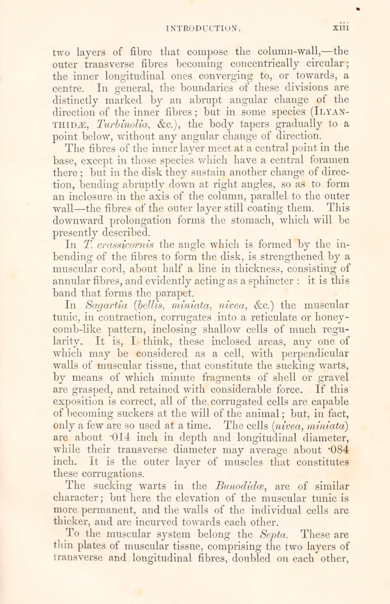two layers of fibre that compose the column-wall,—the outer transverse fibres becoming concentrically circular; the inner longitudinal ones converging to, or towards, a centre. In general, the boundaries of these divisions are distinctly marked by an abrupt angular change of the direction of the inner fibres; but in some species (Ilyan- THID^e, Turbinolia, &c), the body tapers gradually to a point below, without any angular change of direction. The fibres of the inner layer meet at a central point in the base, except in those species which have a central foramen there; but in the disk they sustain another change of direc- tion, bending abruptly down at right angles, so as to form an inclosure in the axis of the column, parallel to the outer wall—the fibres of the outer layer still coating them. This downward prolongation forms the stomach, which will be presently described. In T. crassicornis the angle which is formed by the in- bending of the fibres to form the disk, is strengthened by a muscular cord, about half a line in thickness, consisting of annular fibres, and evidently acting as a sphincter : it is this band that forms the parapet. In Sagartia {bellis, miniata, nivea, &c.) the muscular tunic, in contraction, corrugates into a reticulate or honey- comb-like pattern, inclosing shallow cells of much regu- larity. It is, I think, these inclosed areas, any one of which may be considered as a cell, with perpendicular walls of muscular tissue, that constitute the sucking warts, by means of which minute fragments of shell or gravel are grasped, and retained with considerable force. If this exposition is correct, all of the corrugated cells are capable of becoming suckers at the will of the animal; but, in fact, only a few are so used at a time. The cells {nivea, miniata) are about 014 inch in depth and longitudinal diameter, while their transverse diameter may average about '084 inch. It is the outer layer of muscles that constitutes these corrugations. The sucking warts in the Bunodidce, are of similar character; but here the elevation of the muscular tunic is more permanent, and the walls of the individual cells are thicker, and are incurved towards each other. To the muscular system belong the Septa. These are thin plates of muscular tissue, comprising the two layers of transverse and longitudinal fibres, doubled on each other,